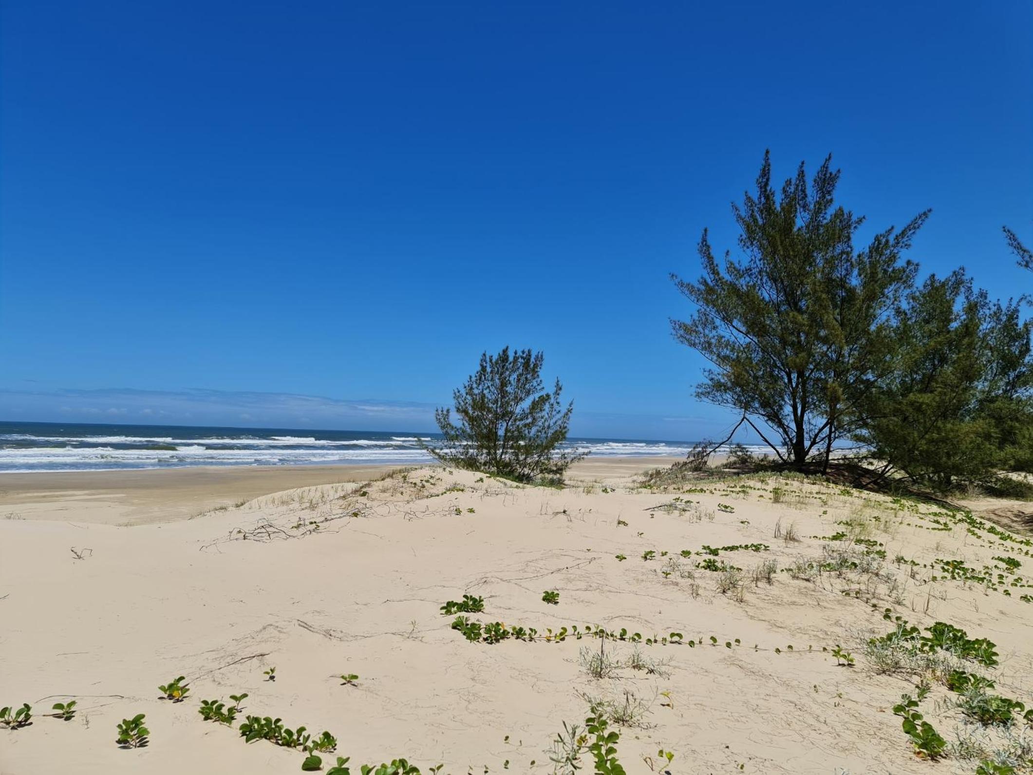 Mangue Seco, 120 metros do mar e 100 metros das dunas.