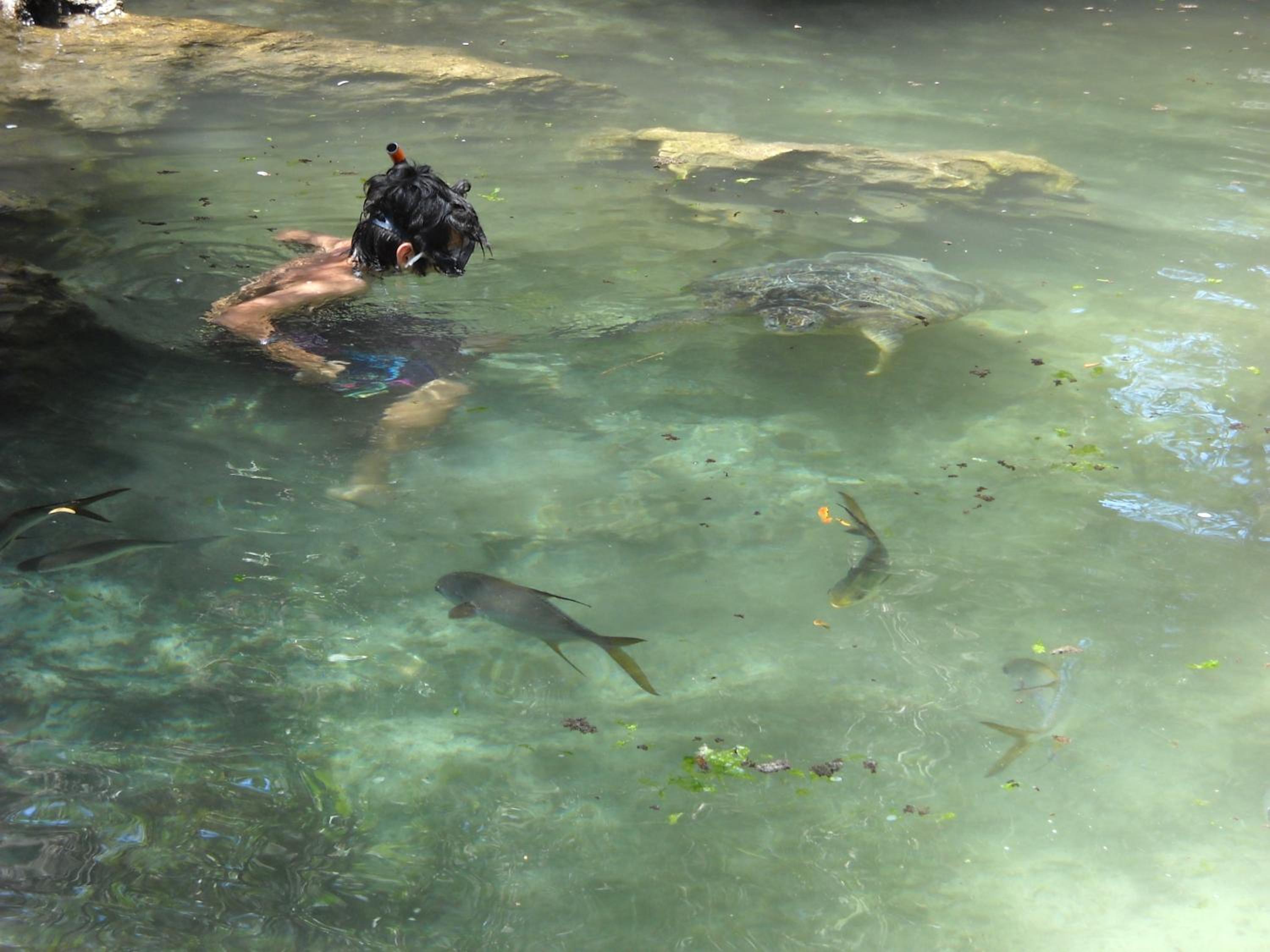 Baraka Aquarium Bungalows
