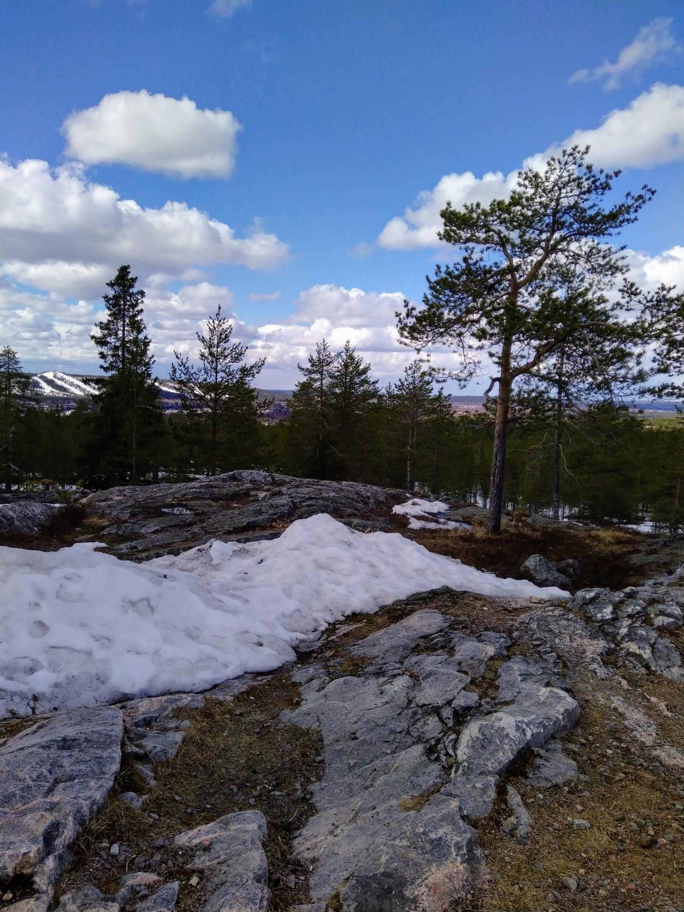 Photo 22