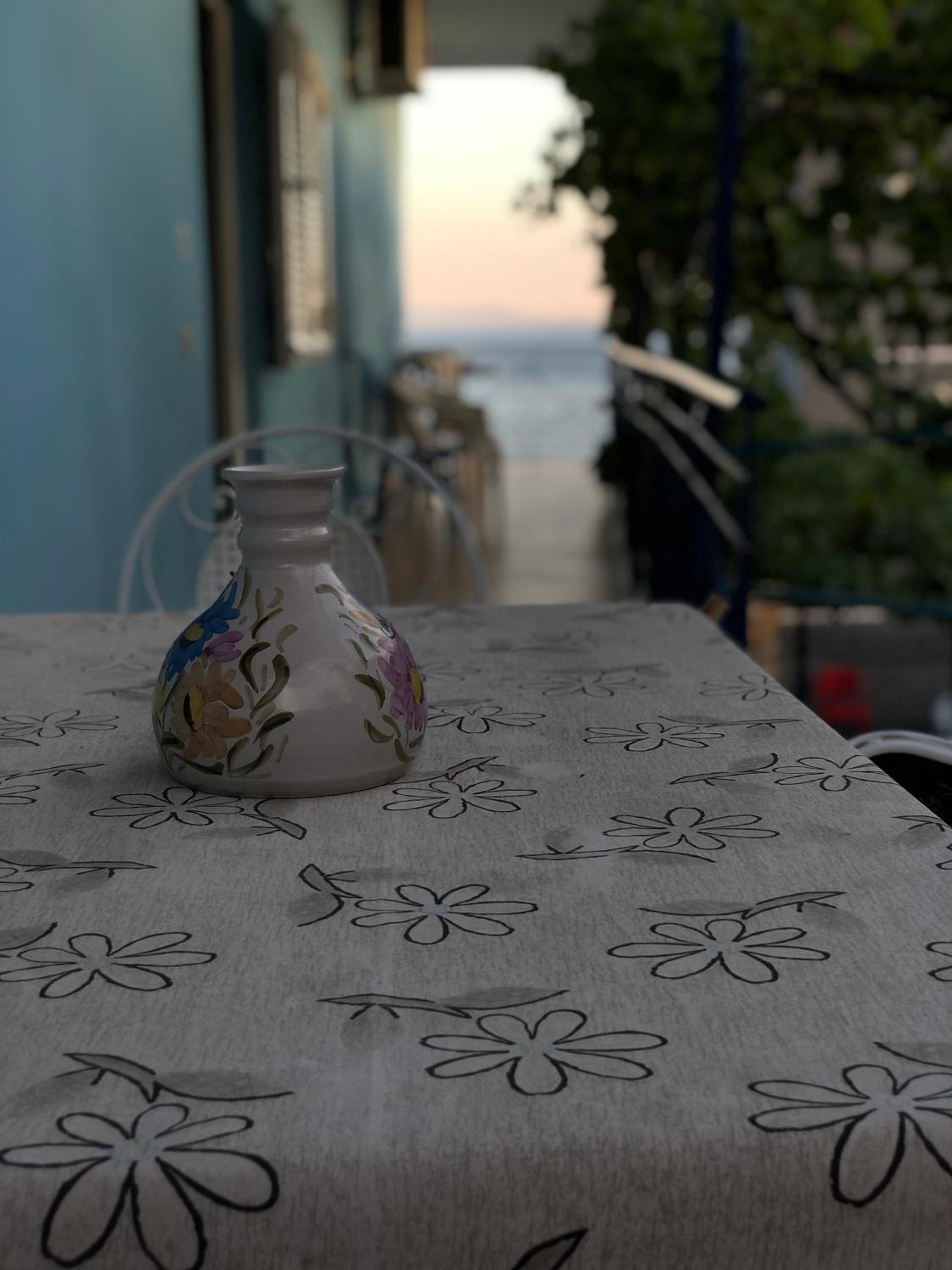Dina House