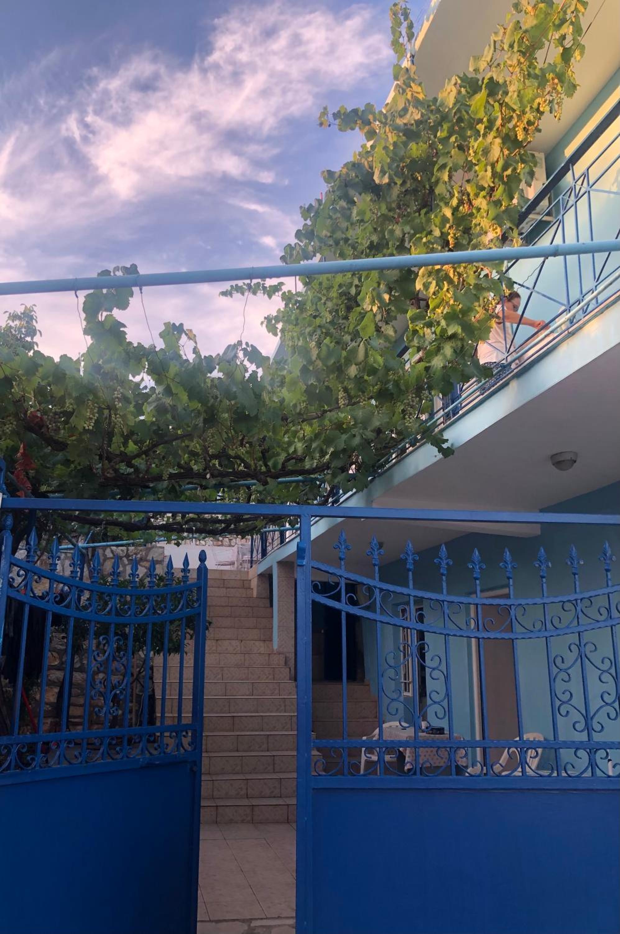 Dina House