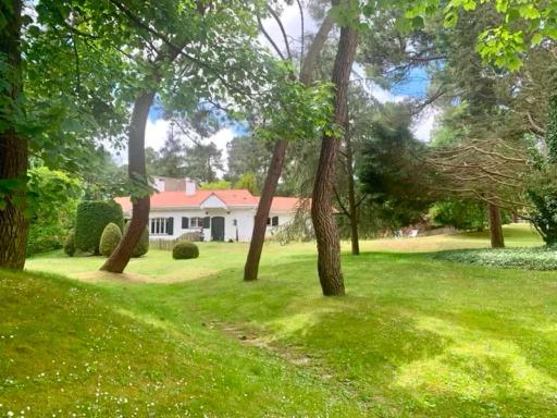 Bons Baisers du Touquet - Villa Caracole photo 2