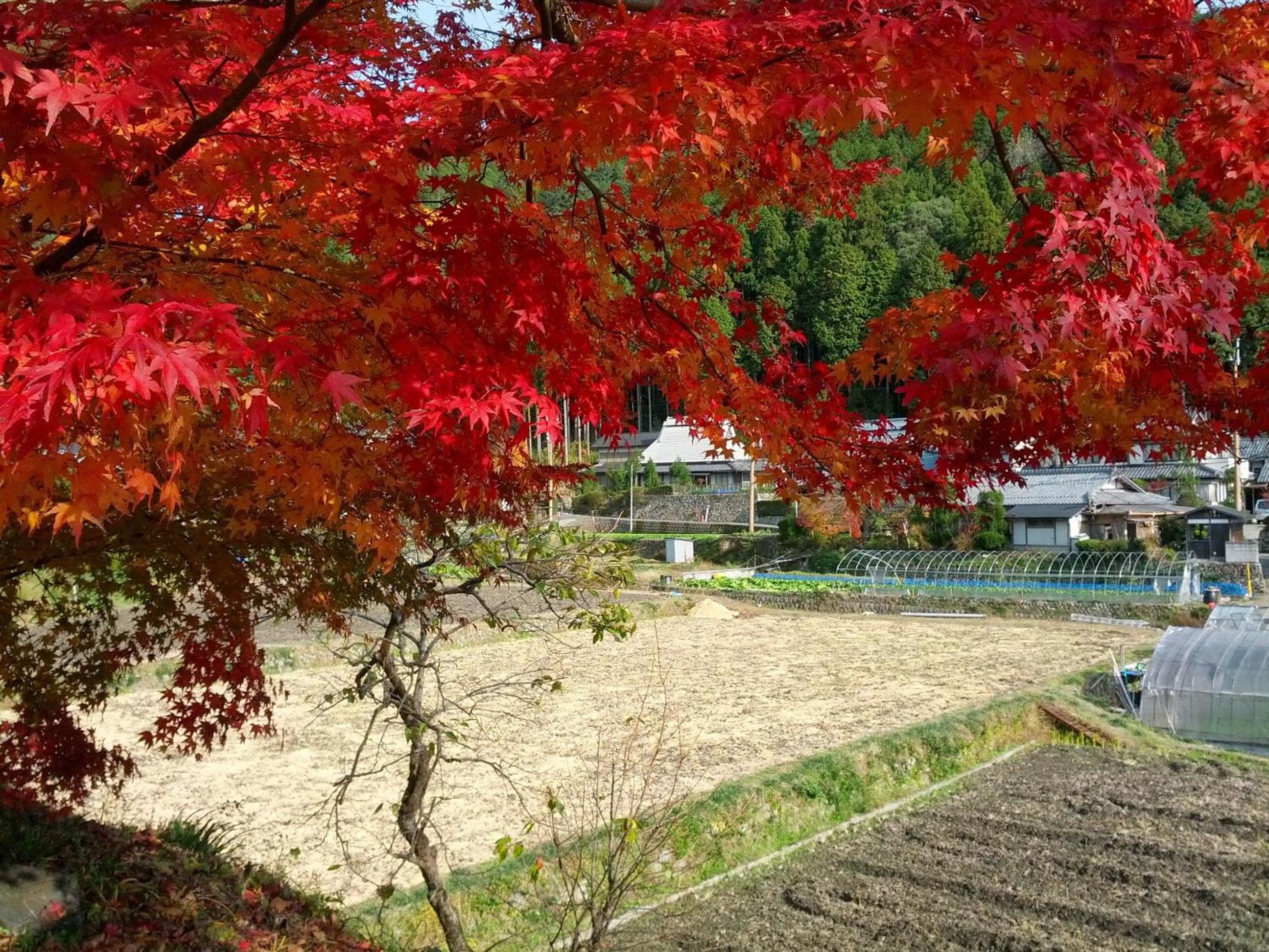 Yumoto Onsen OharaSansou