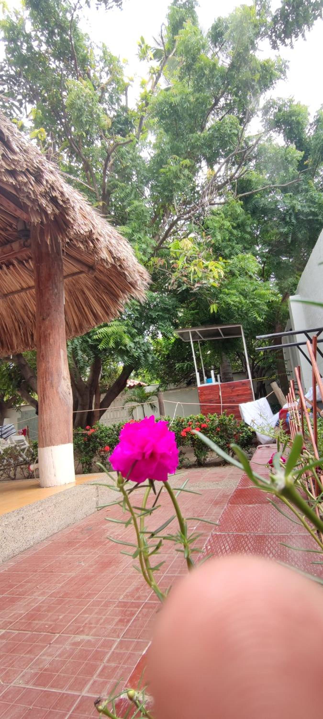 Cabaña Salguero