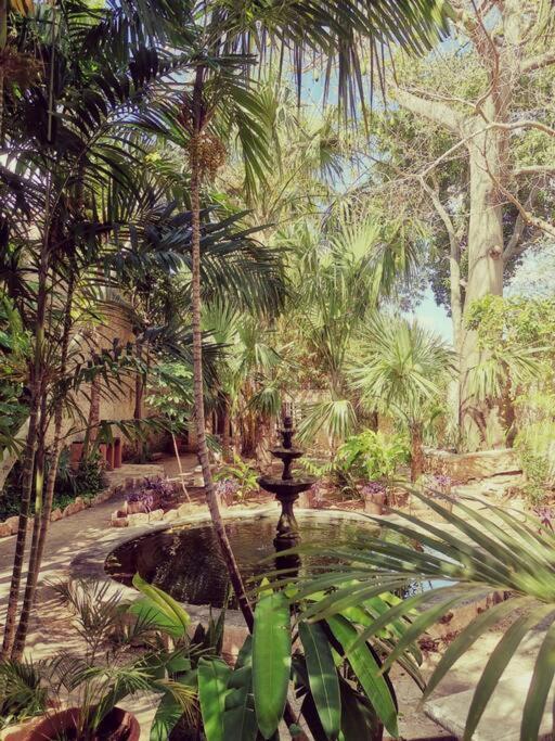 garden