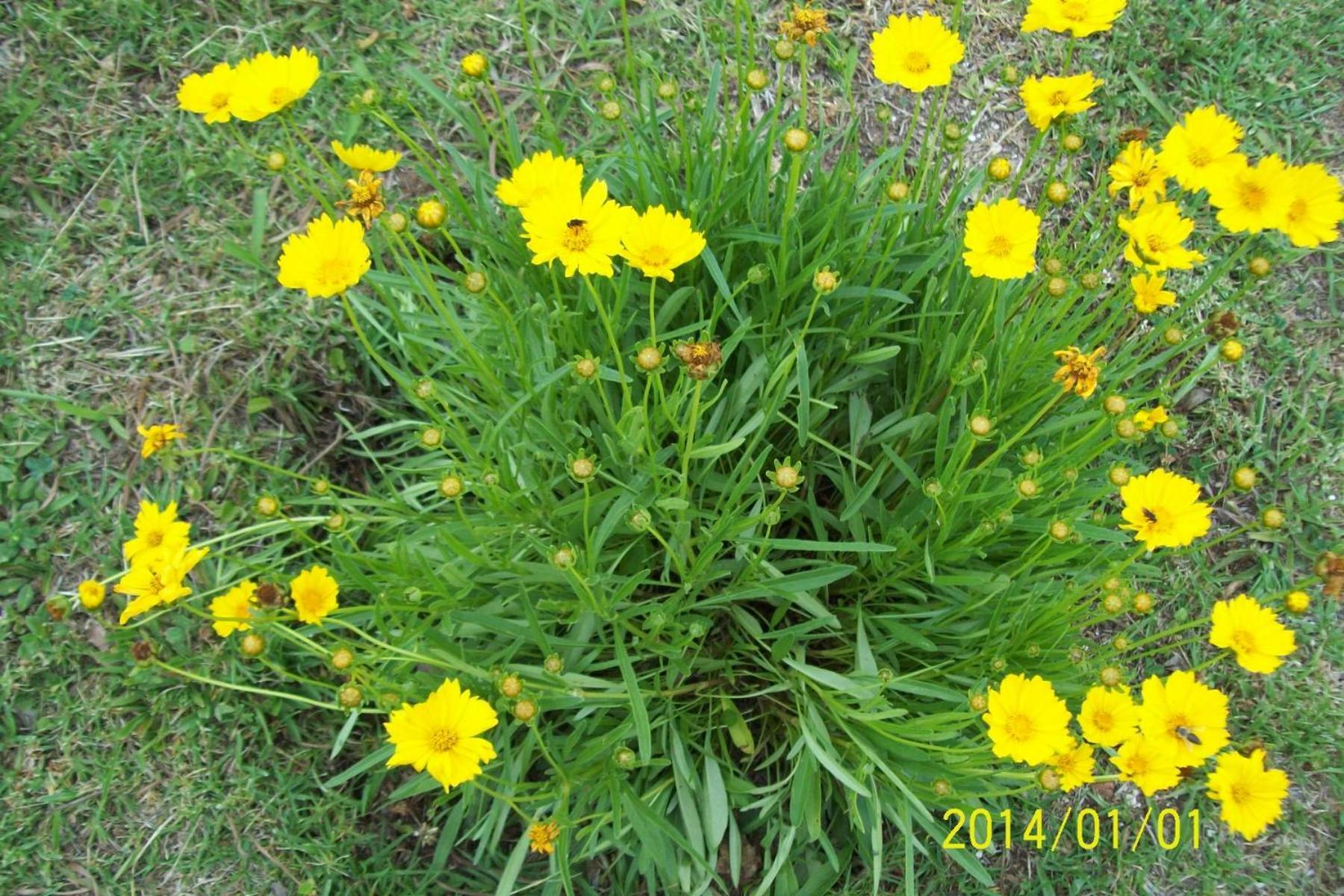 Photo 70