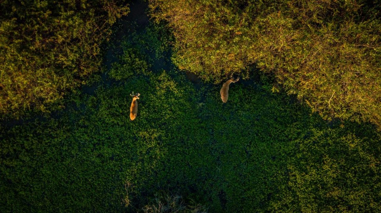 Rincón del Socorro