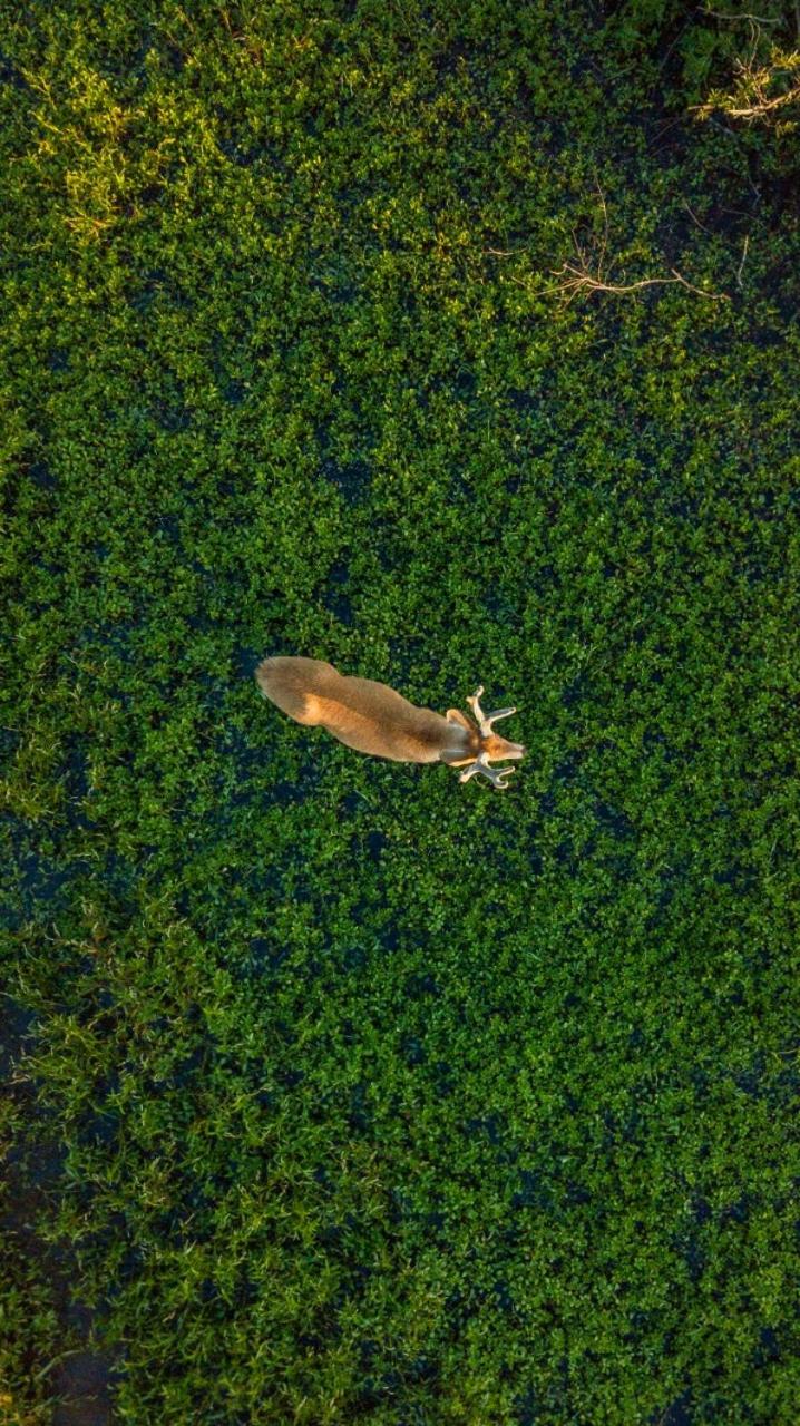 Rincón del Socorro