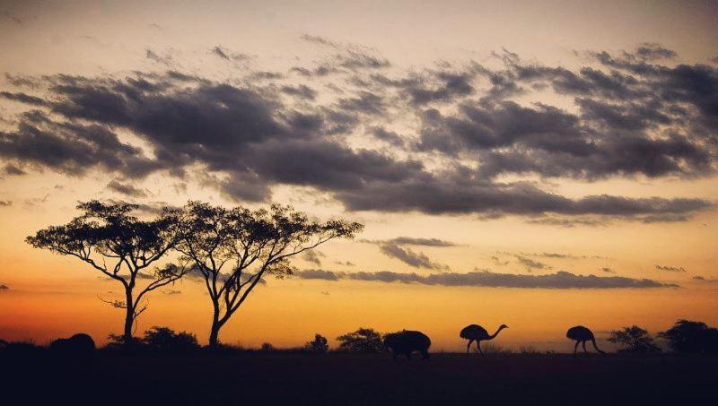 Estancia Iberá