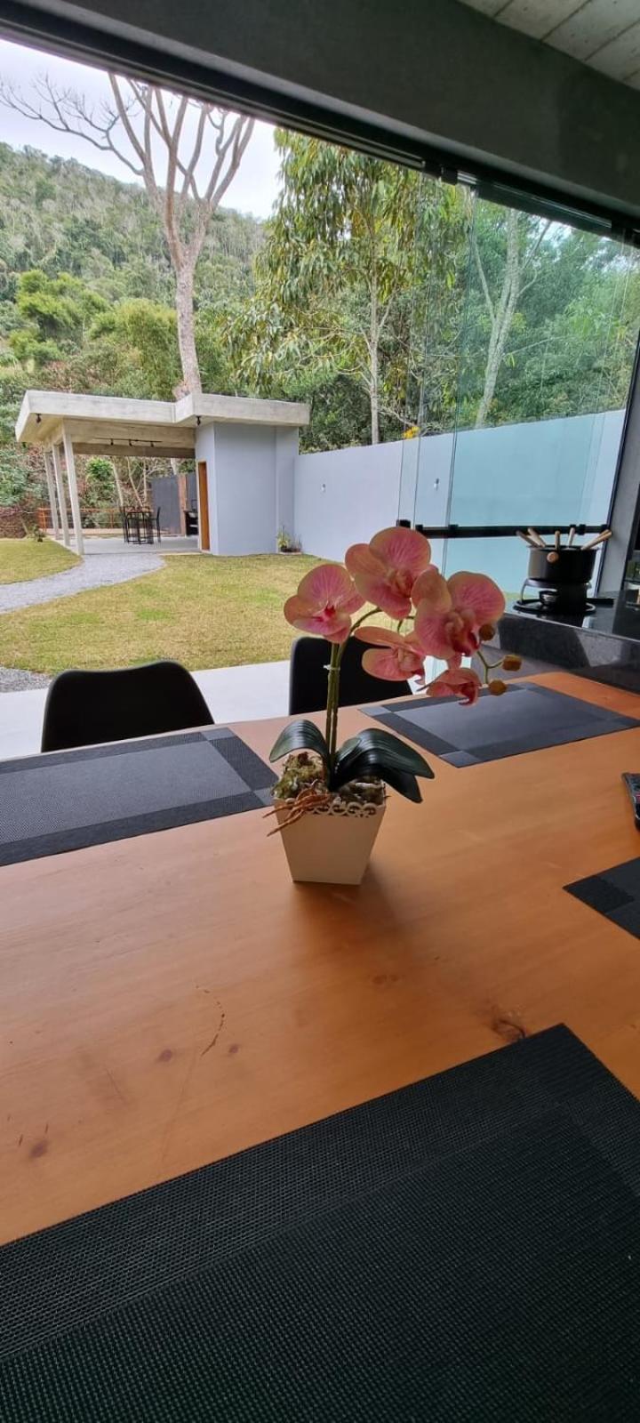 Casa Deck videiras