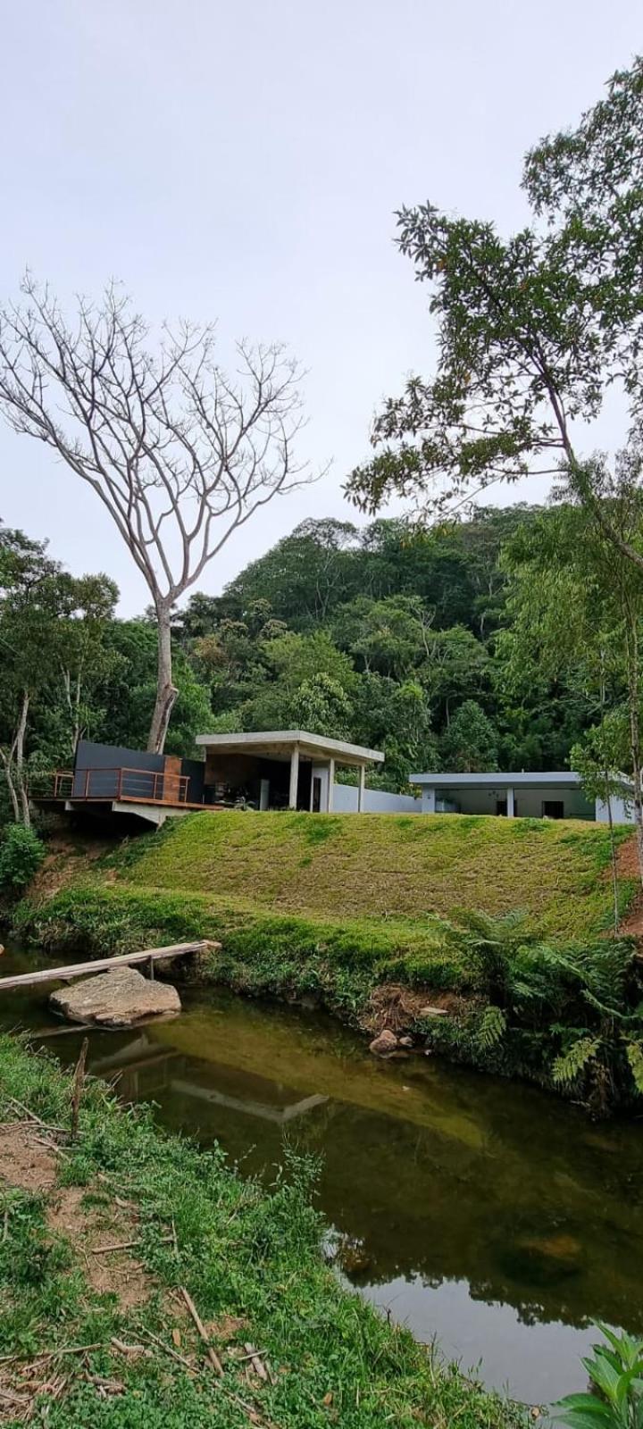 Casa Deck videiras