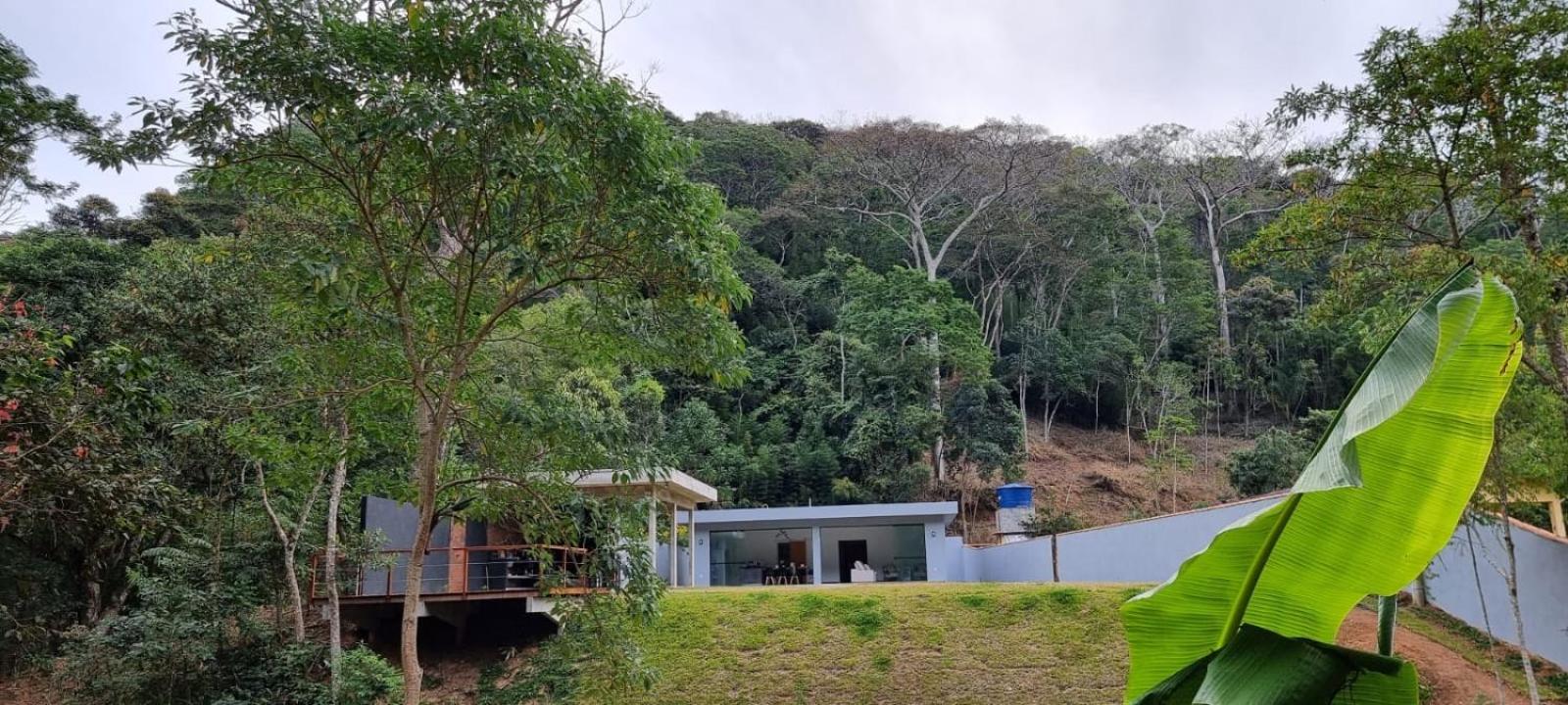Casa Deck videiras
