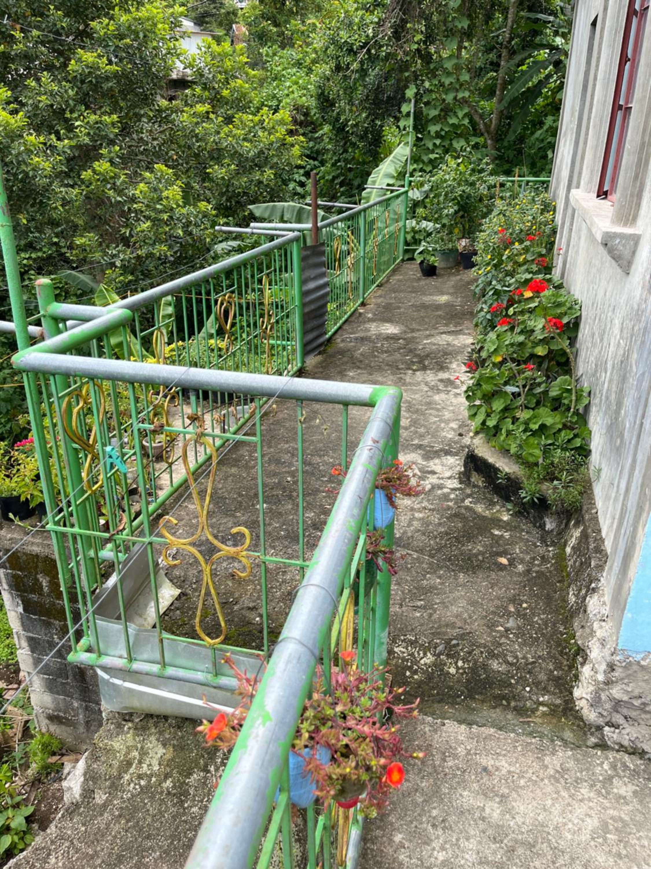 Vilma's Homestay view 4