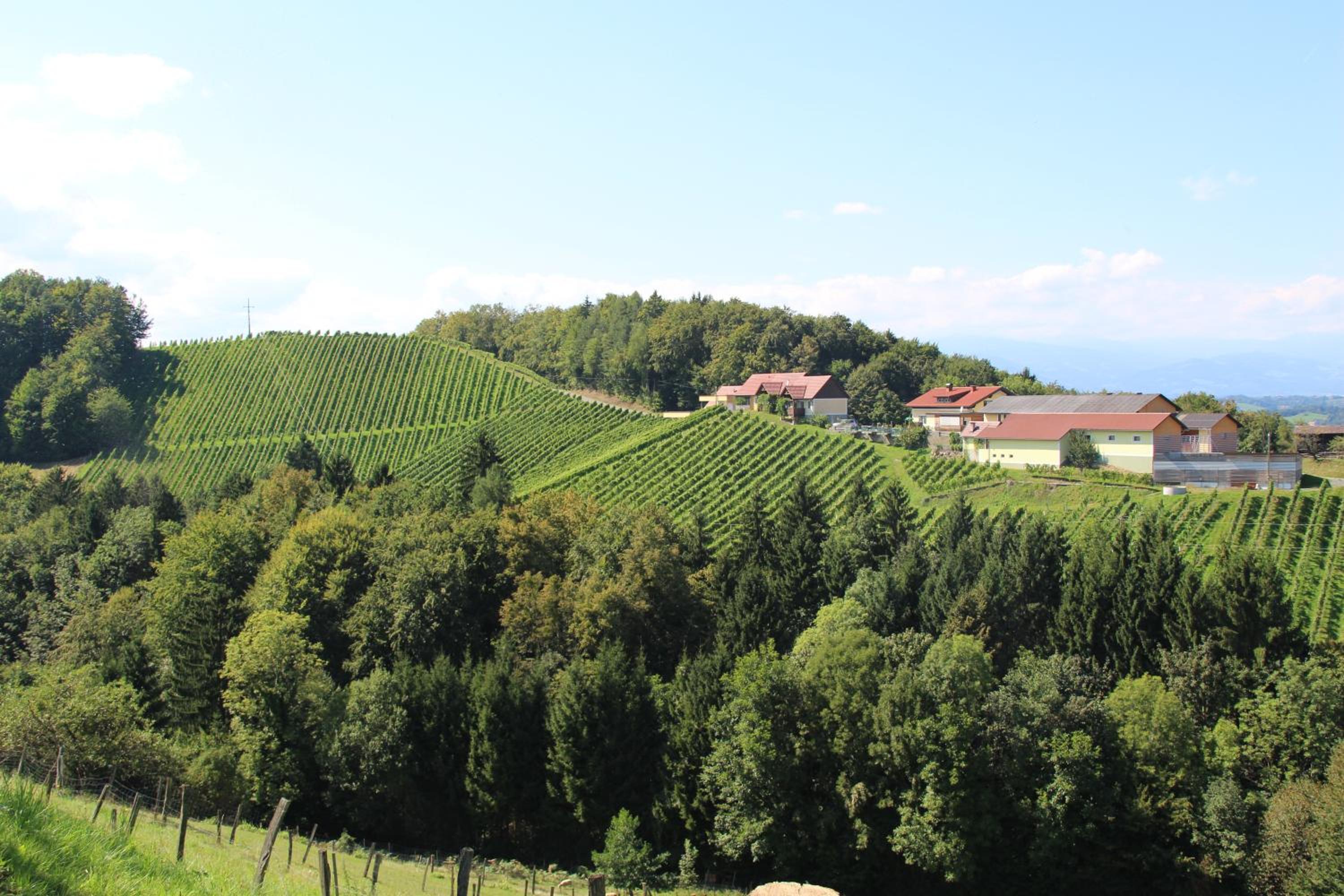 Weingut Sternat vlg. Schmalzpeter