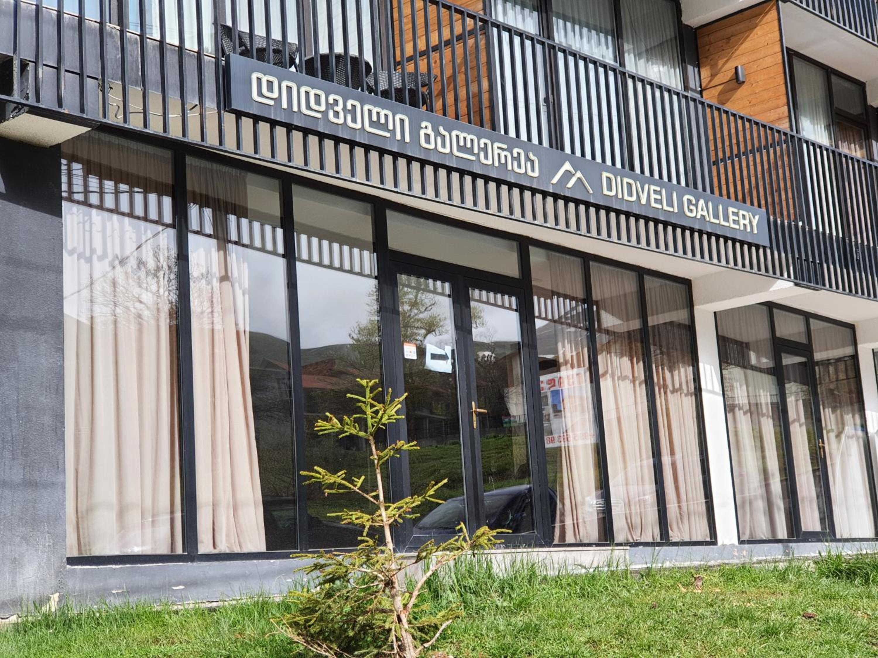 Perfect studio near Didveli ski area view 3