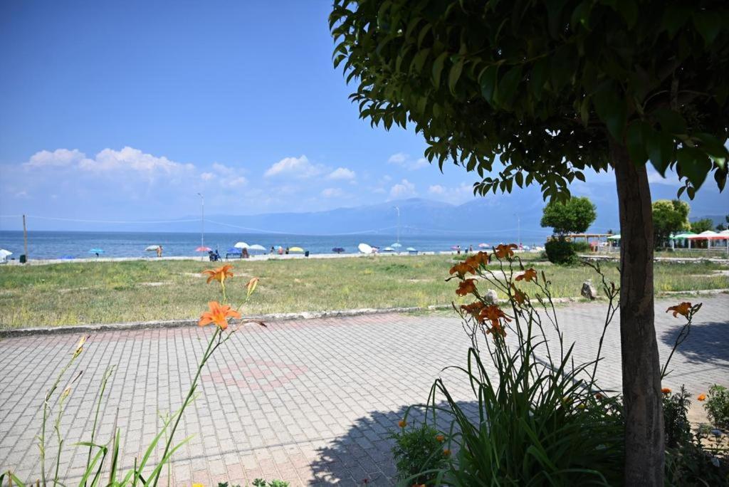 Lakeview B & B Pogradec