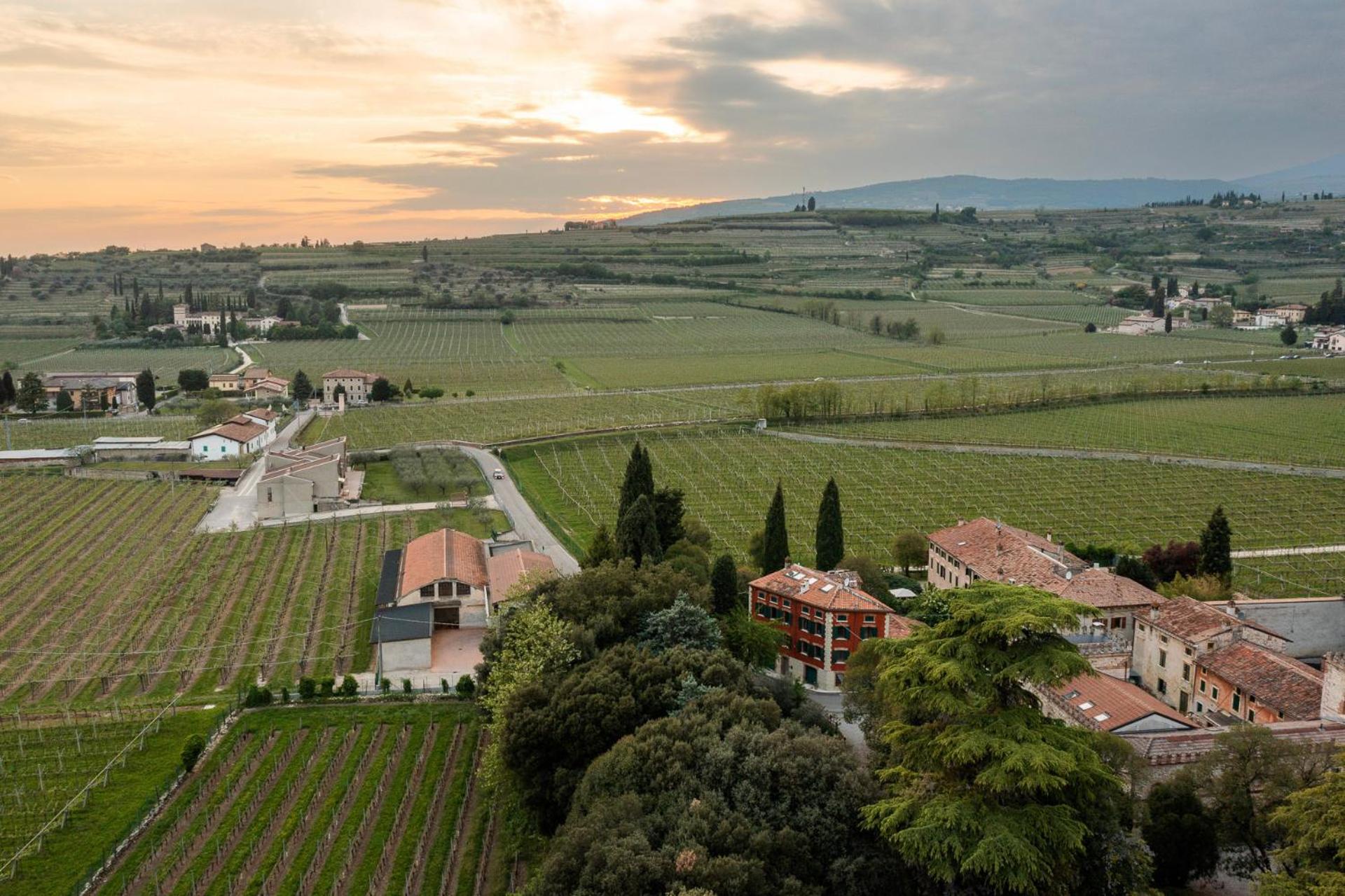 Maregnago Relais view 5