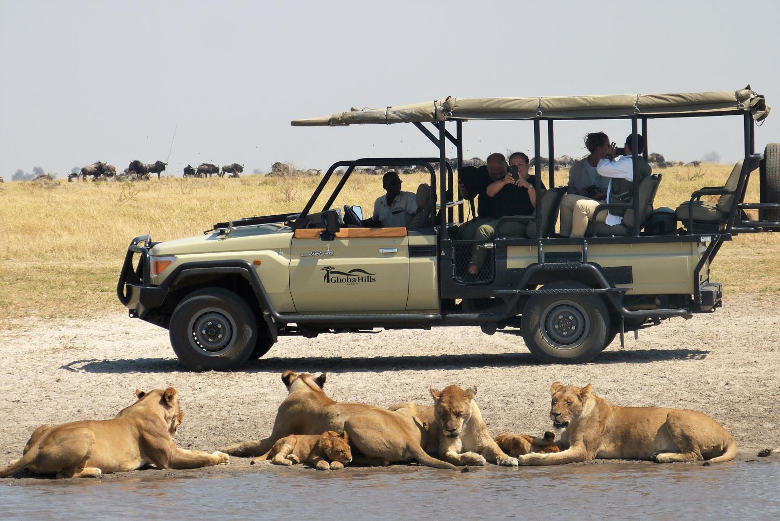 Ghoha Hills Savuti Lodge
