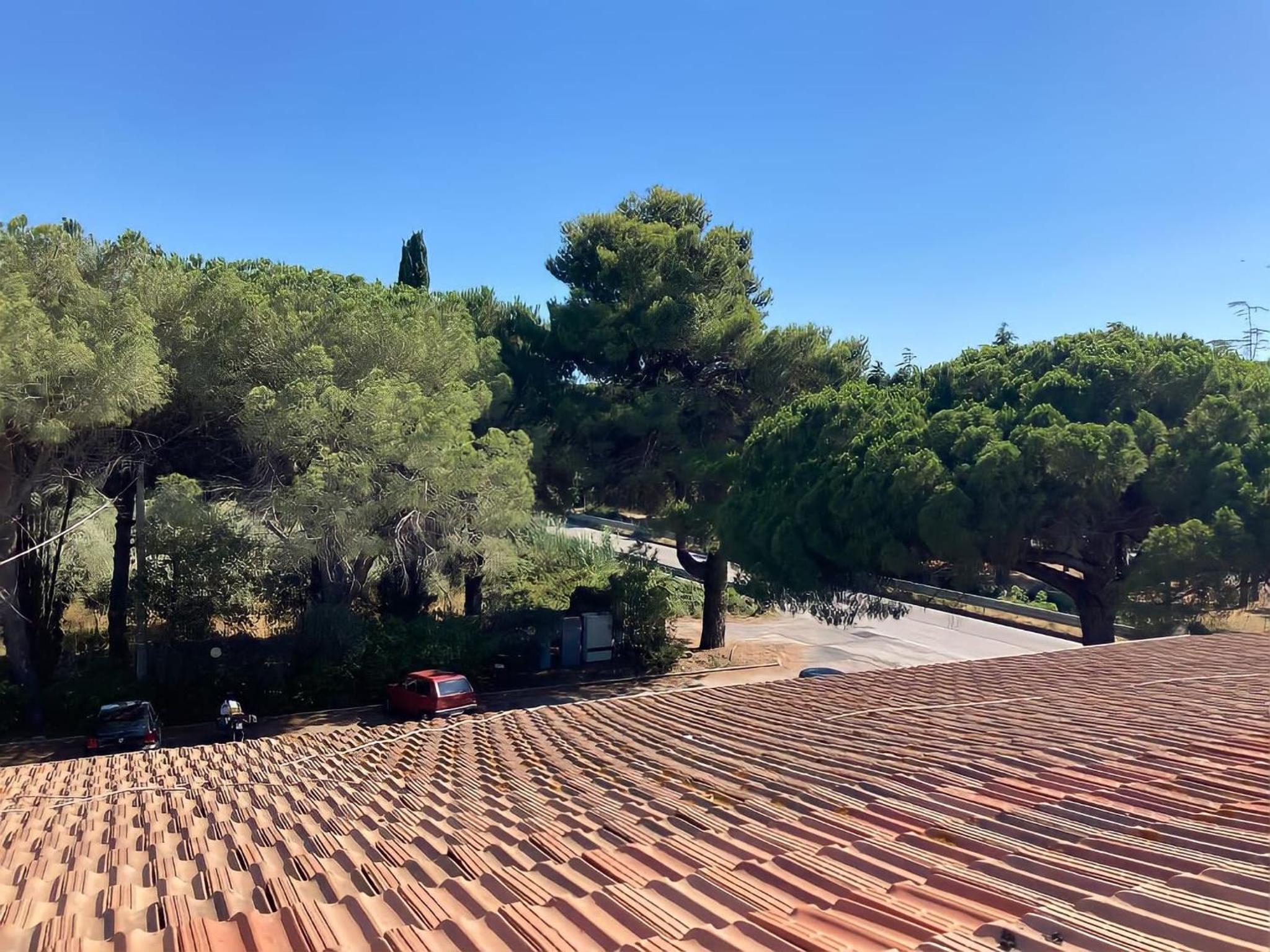 roof