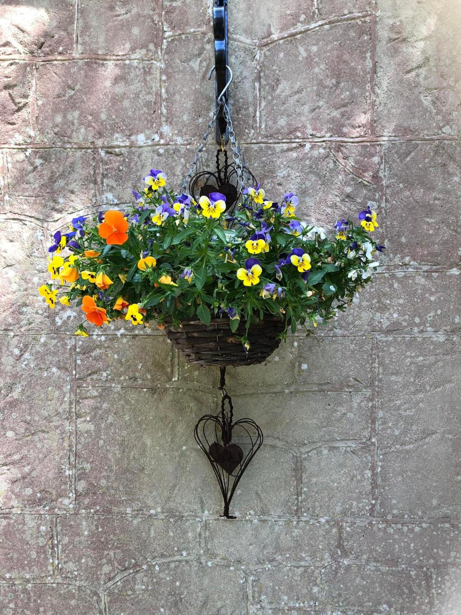 Enchanted Manor — photo 102
