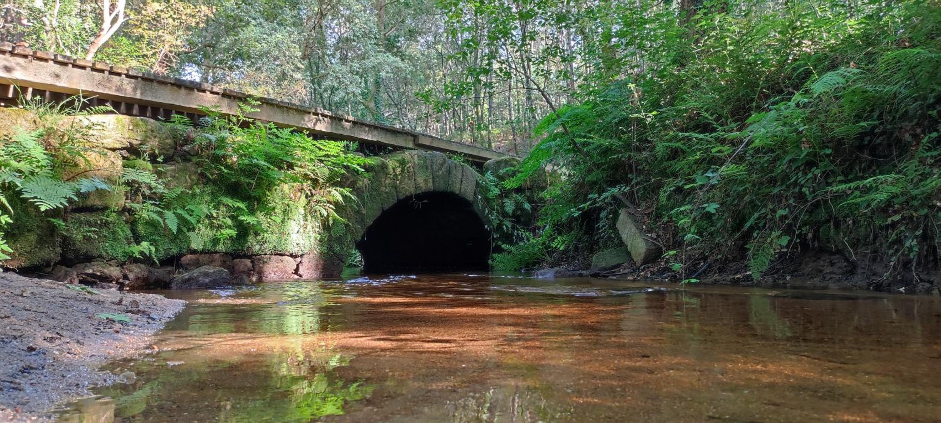 Pensión Ponte das Febres