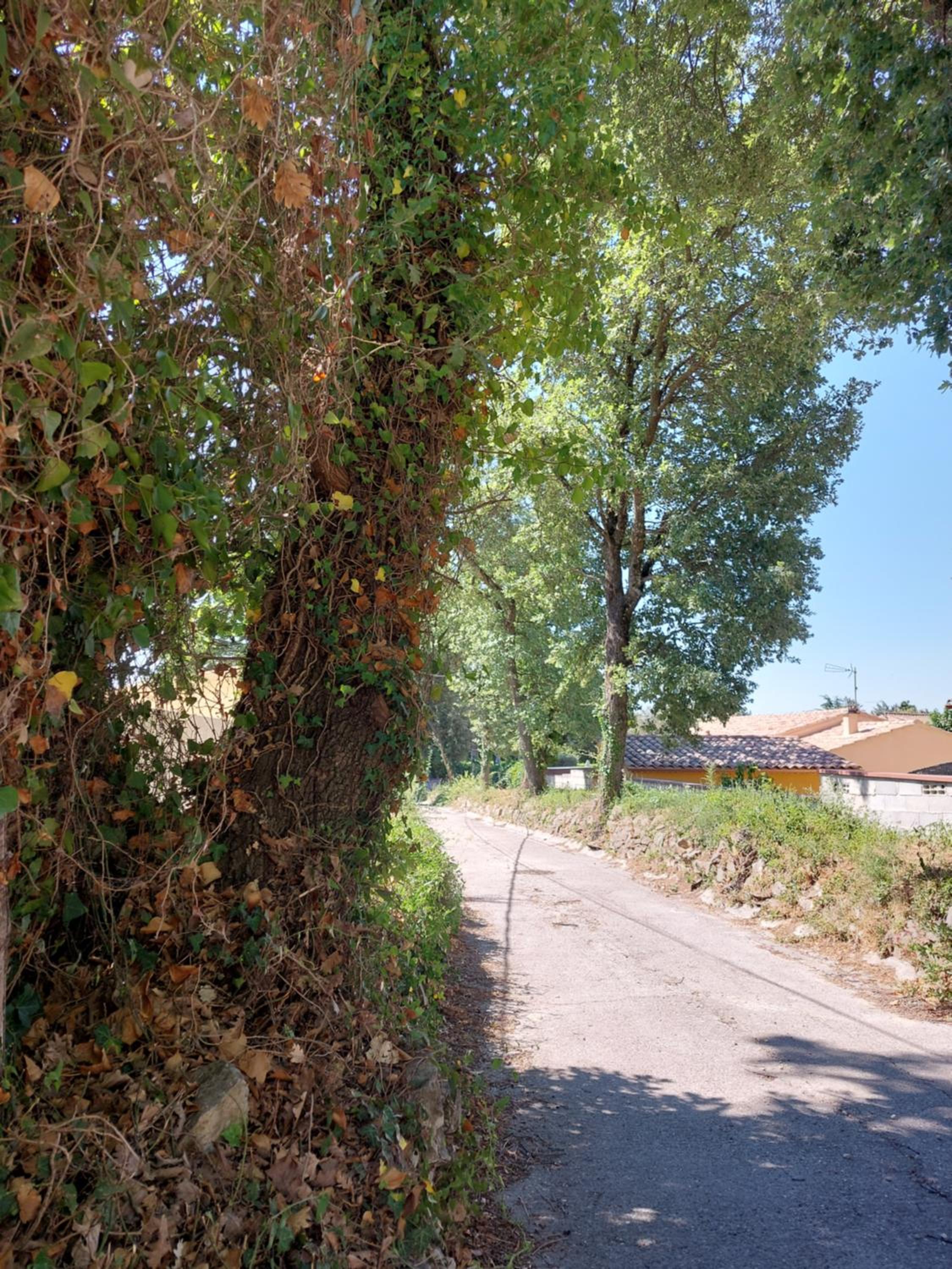 Studio meublé tout confort climatisé view 2