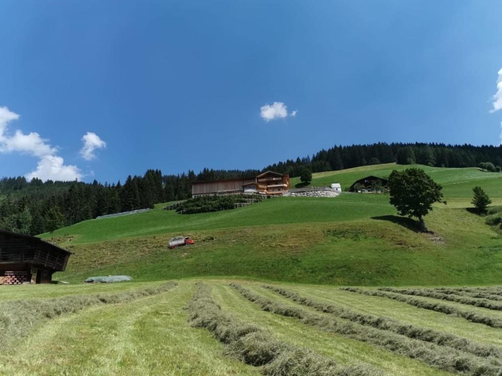 Ferienwohnung 