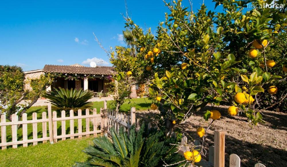 Finca Padre
