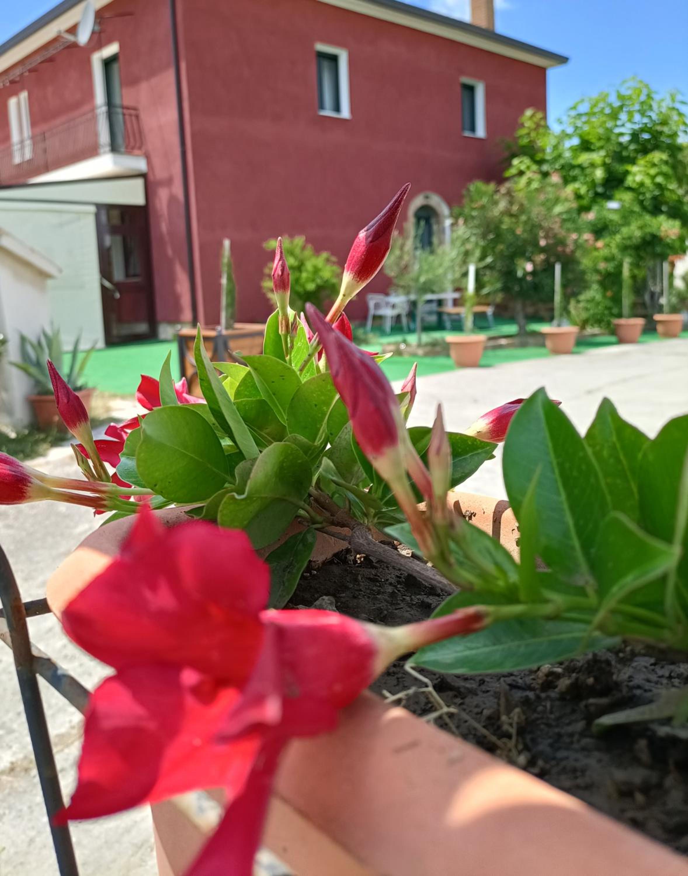 Agriturismo Macchia dei briganti - b&b, Foto 9