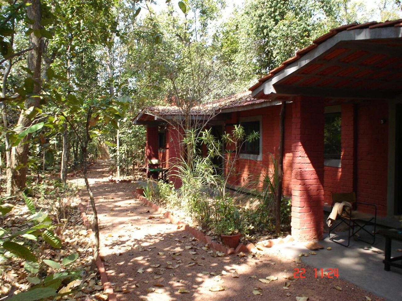 Photo 10