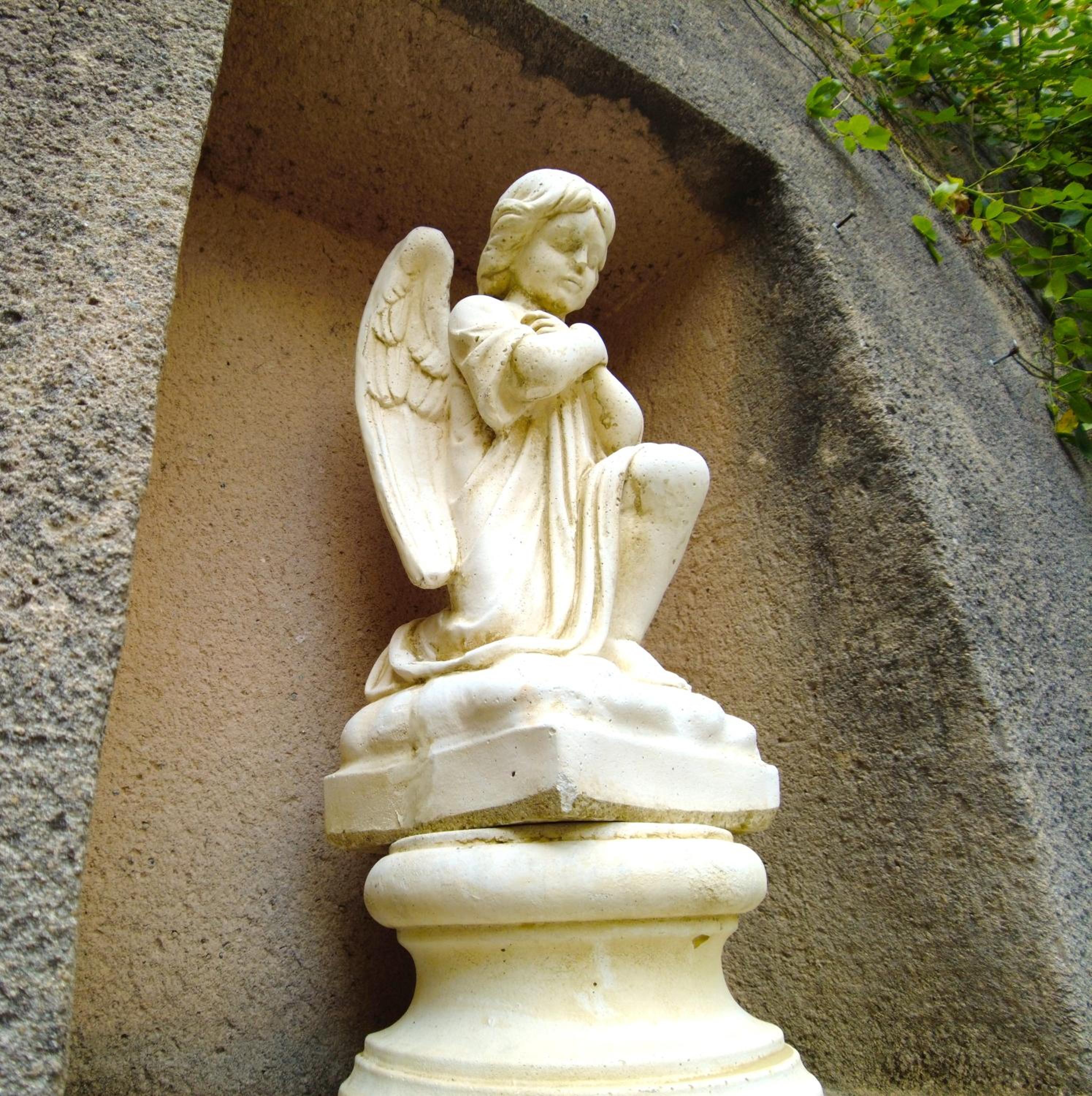Maison d'hôtes de charme - Au Lys Blanc, photo 7