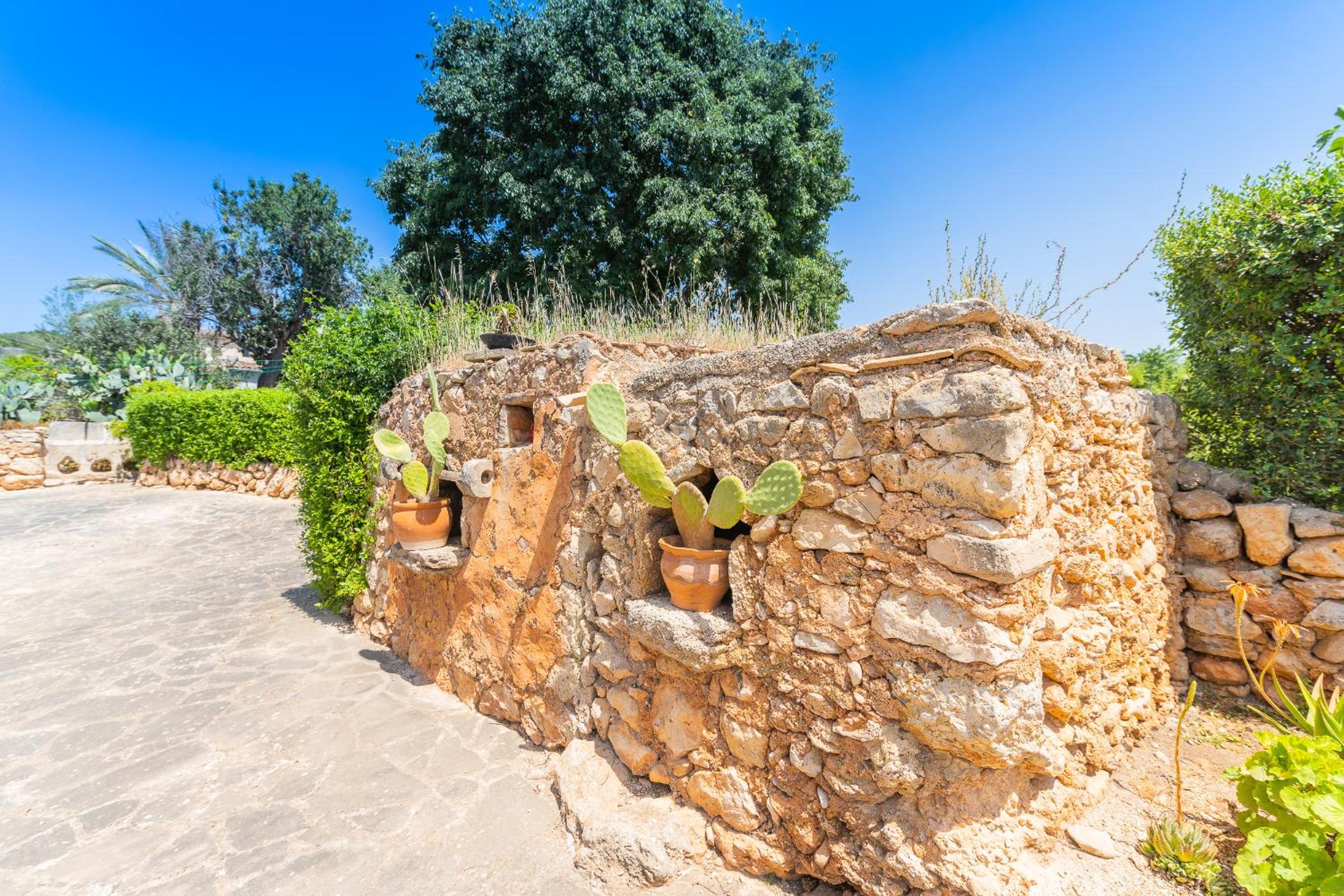 Finca Palleta