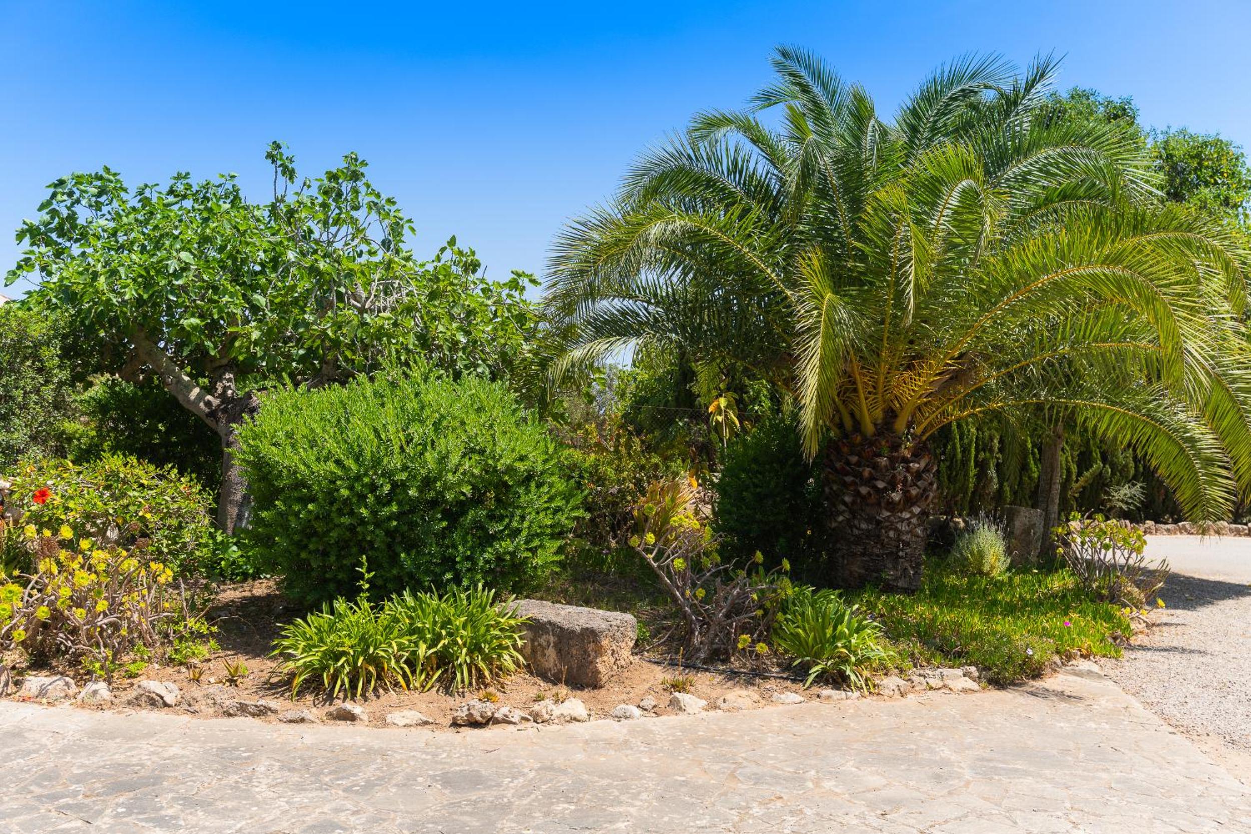 Finca Palleta