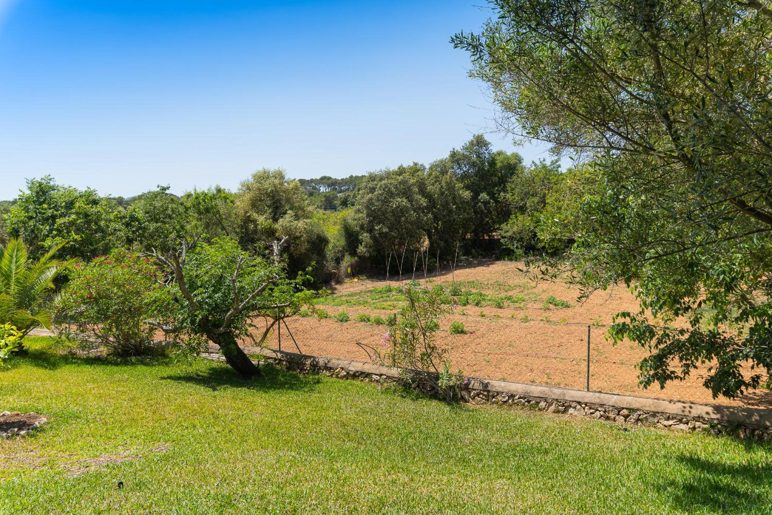 Finca Palleta