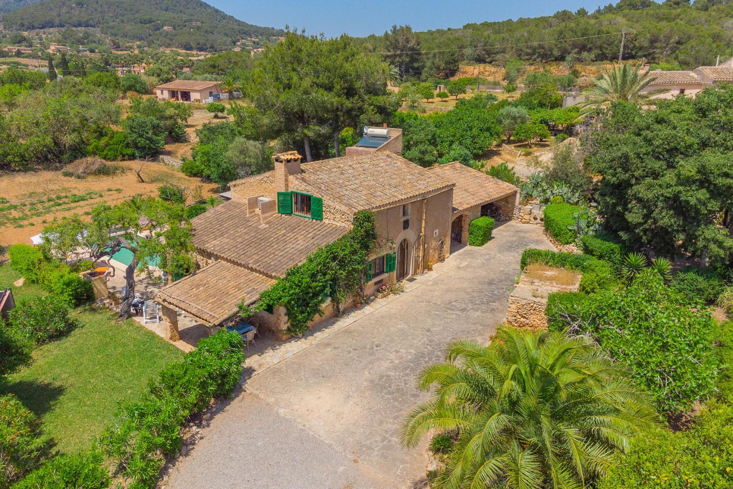 Finca Palleta