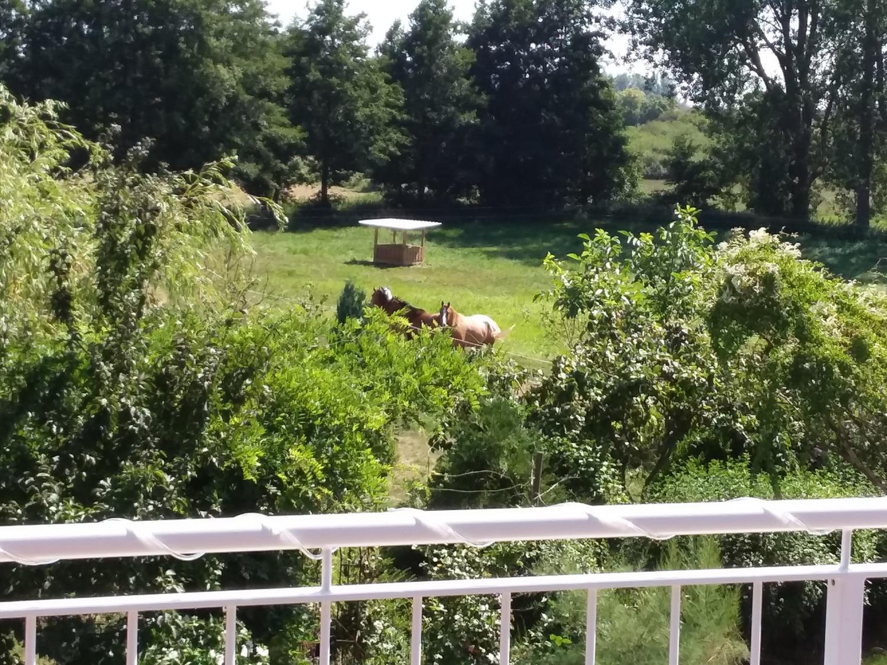 Haus Rosengarten- Ruhige Ferienwohnungen im Grünen
