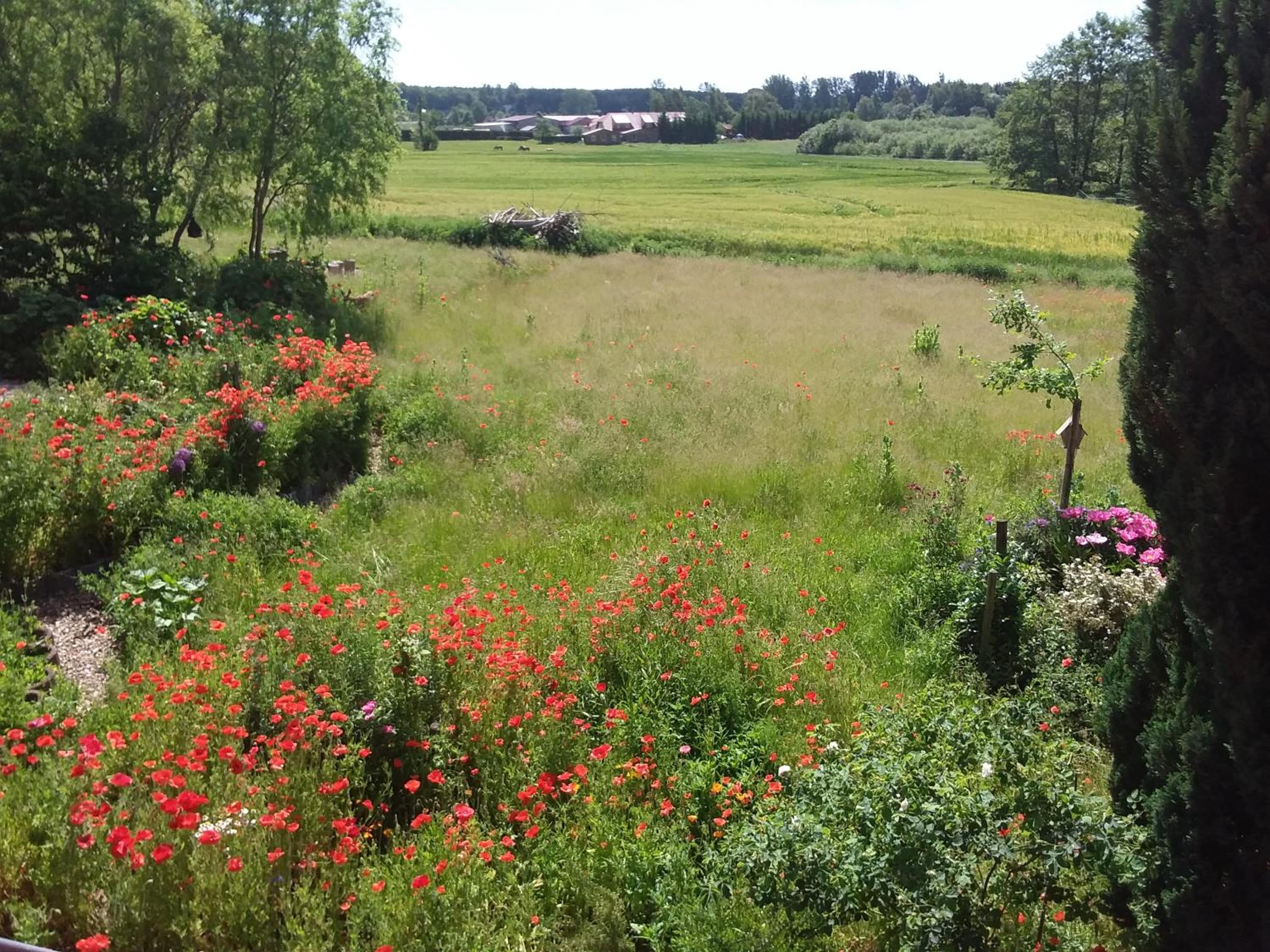 Haus Rosengarten- Ruhige Ferienwohnungen im Grünen