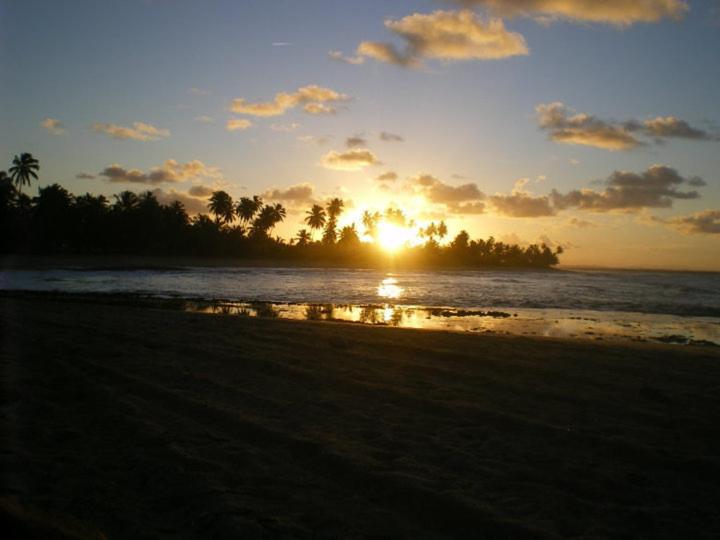 Photo 33