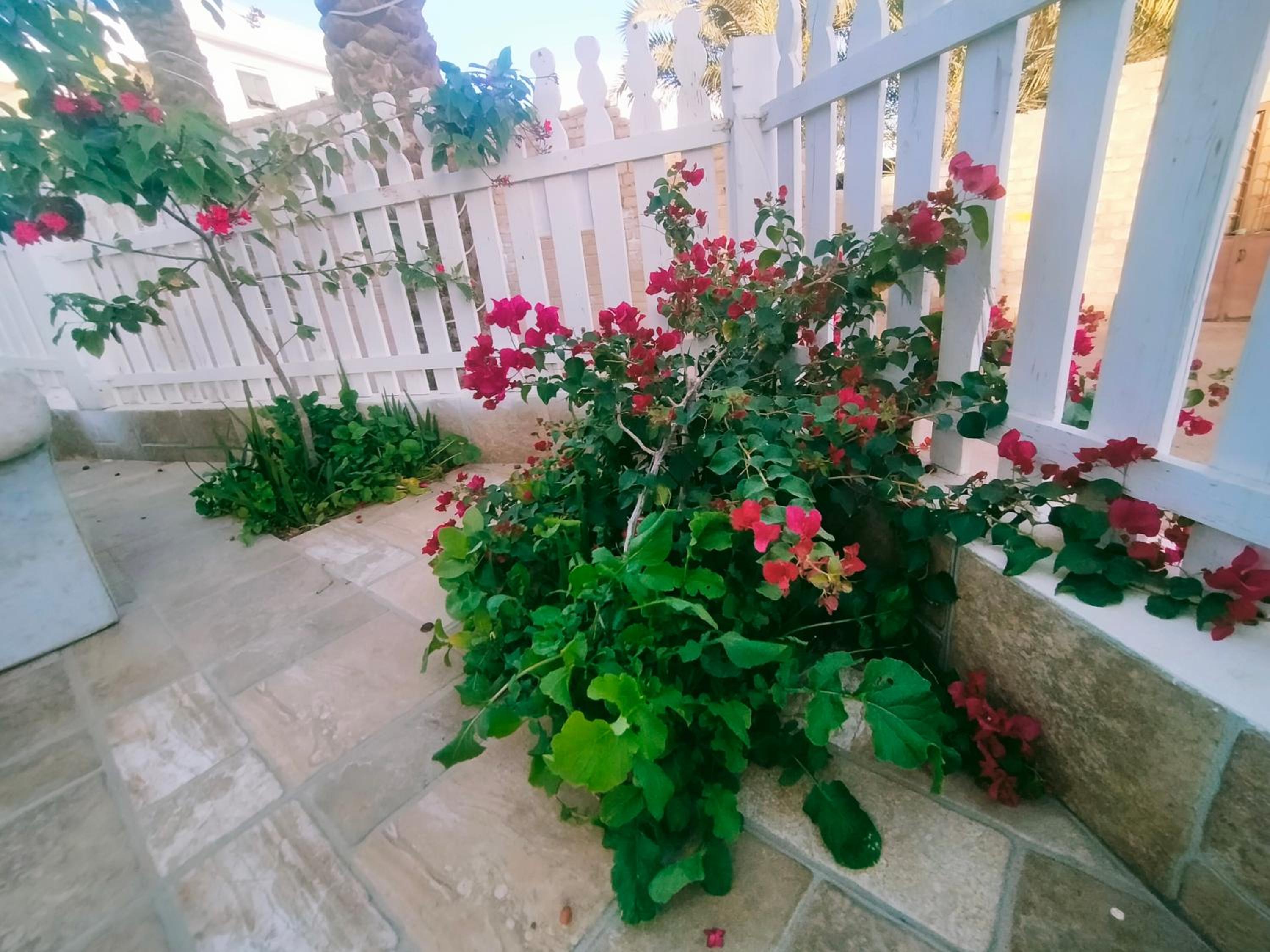 Photo 39
