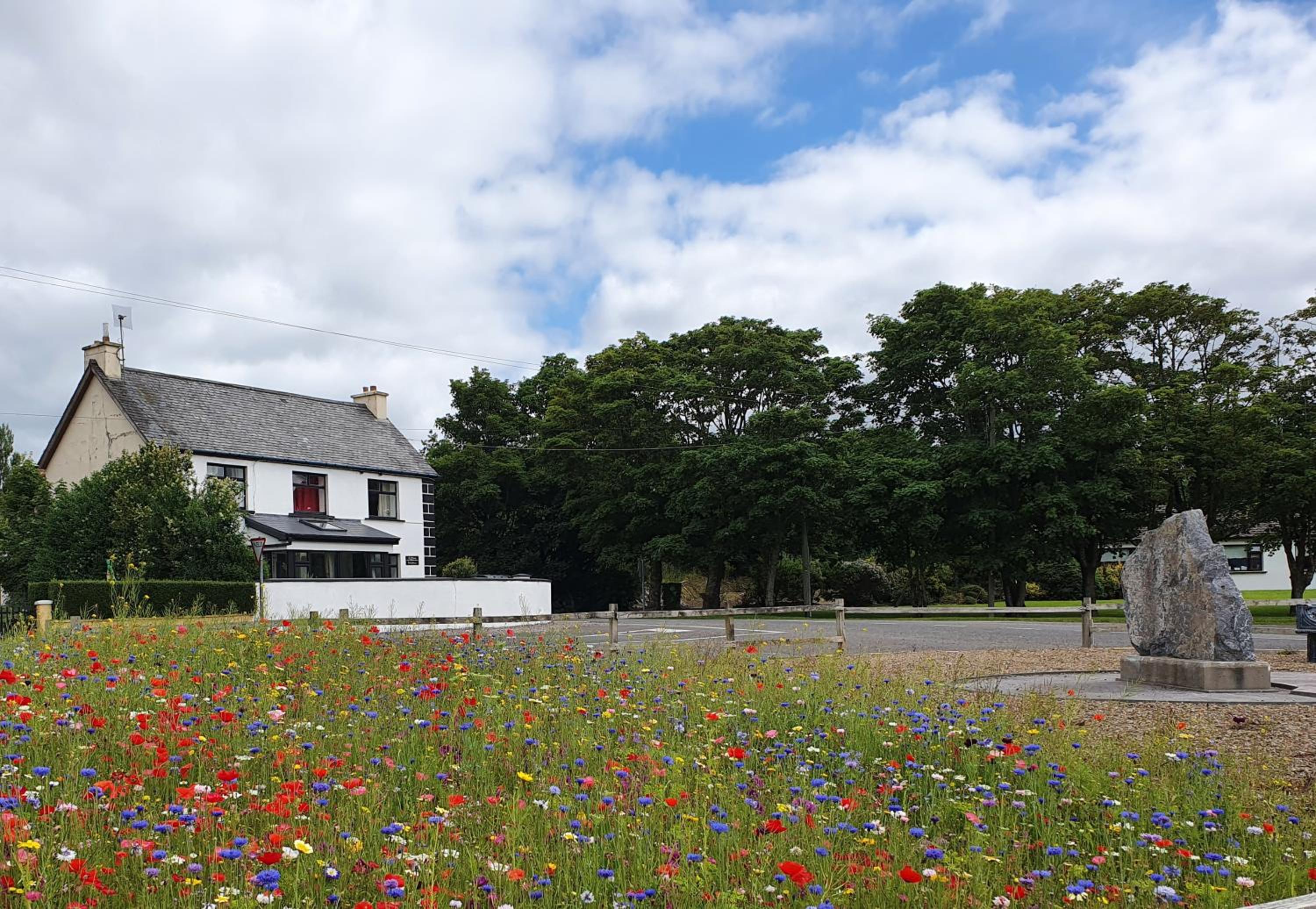 St Martins Old Schoolhouse Ballyroe Tralee view 3