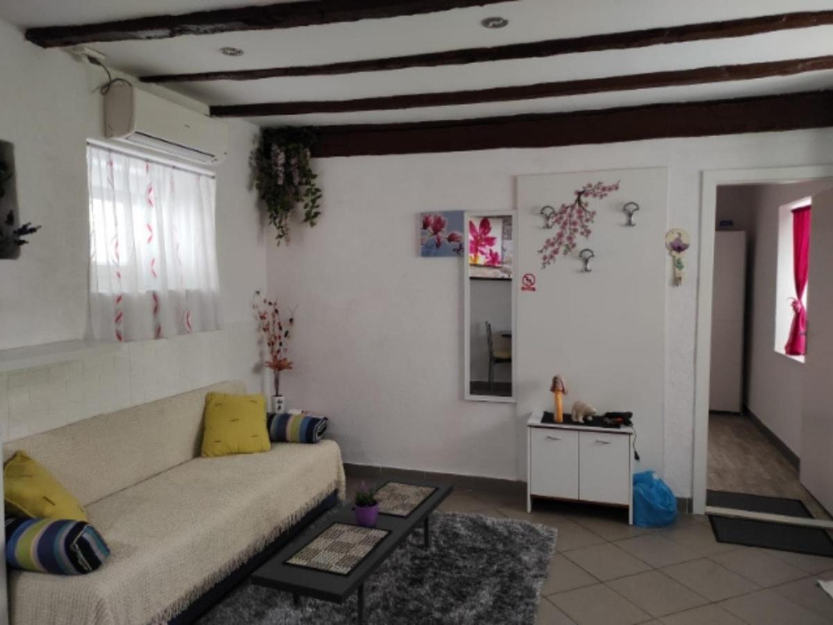 Apartment Abella photo 4