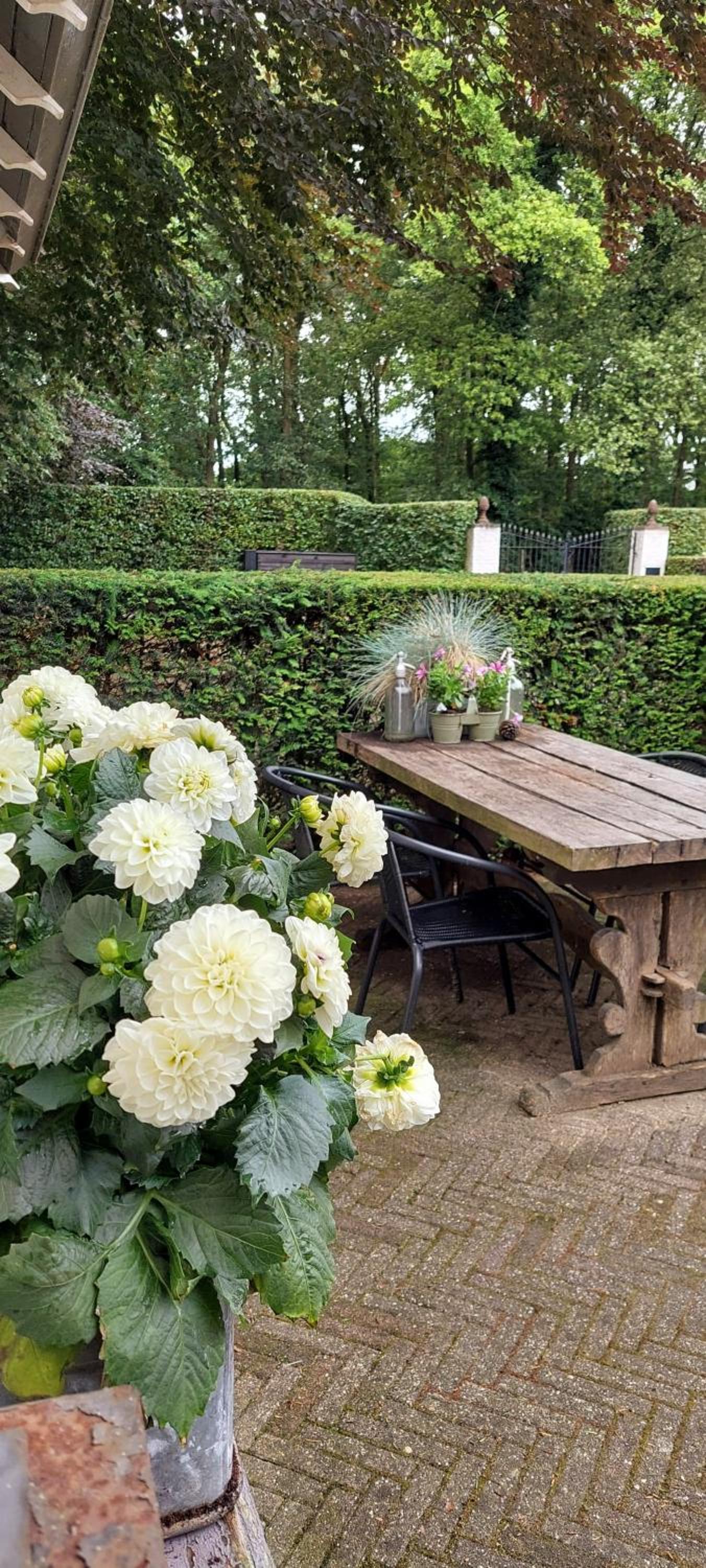 Guesthouse De Hees view 5