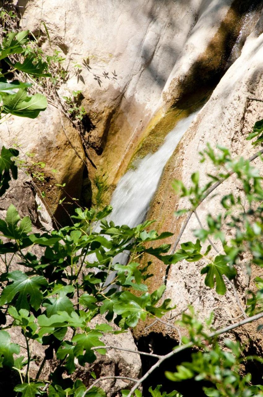 Molino La Ratonera