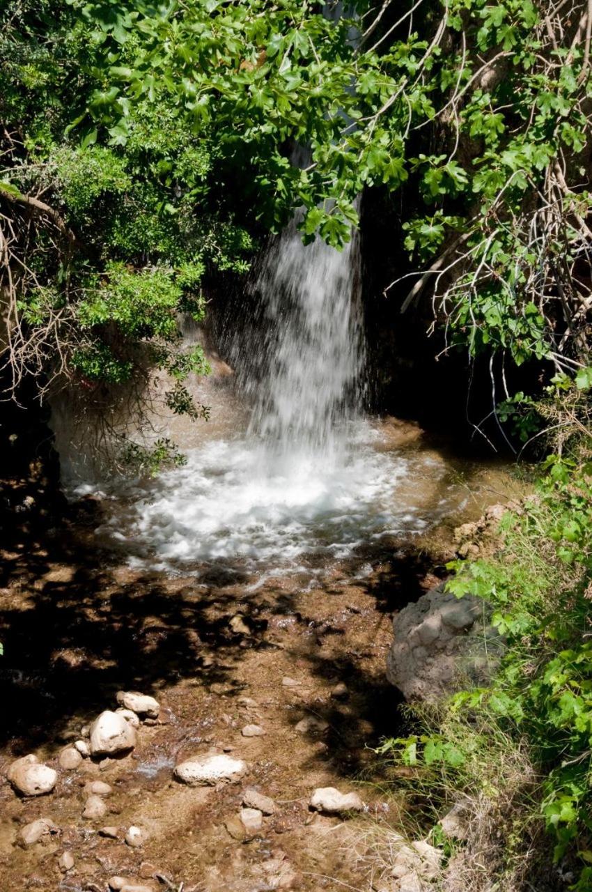 Molino La Ratonera