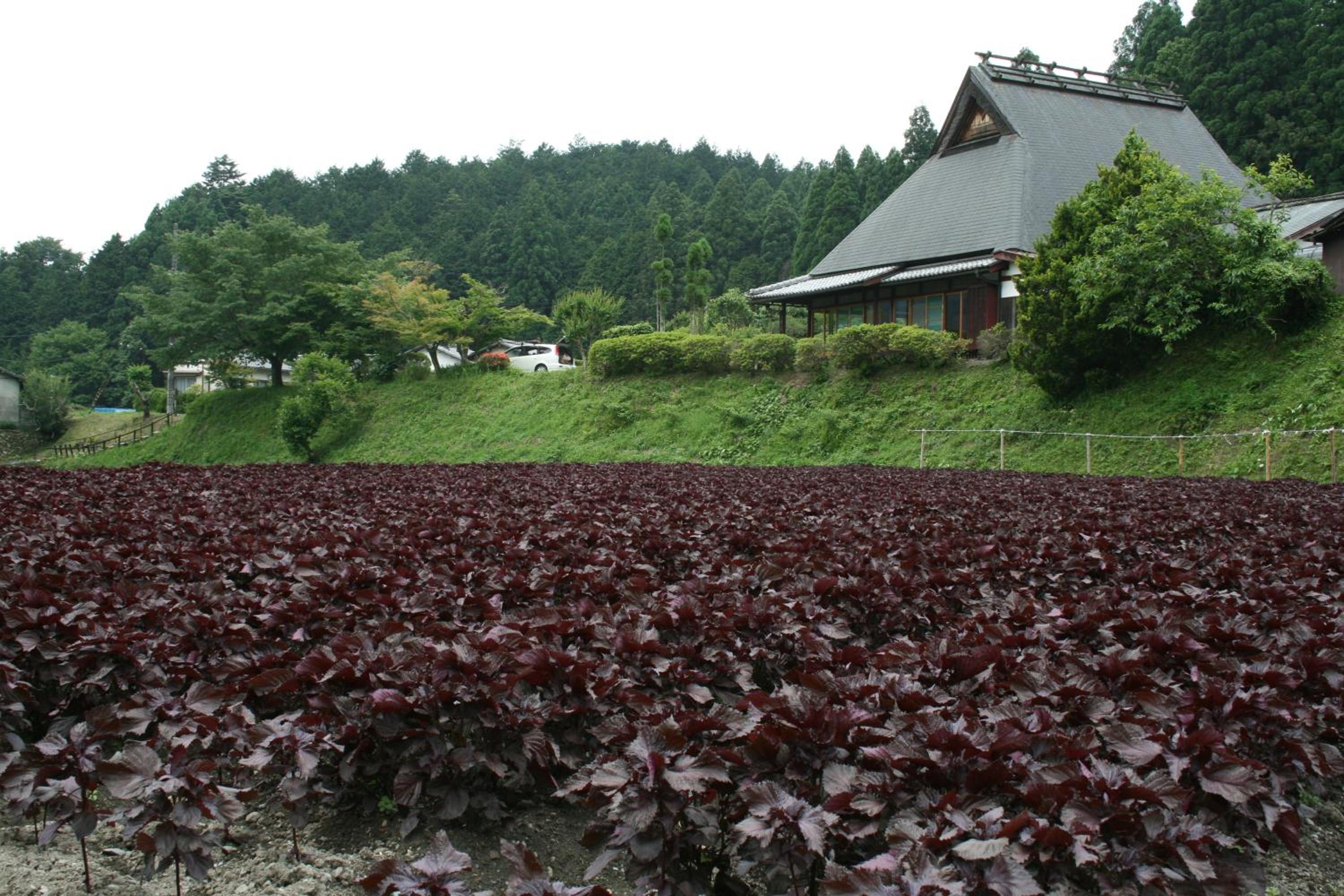 Yumoto Onsen OharaSansou