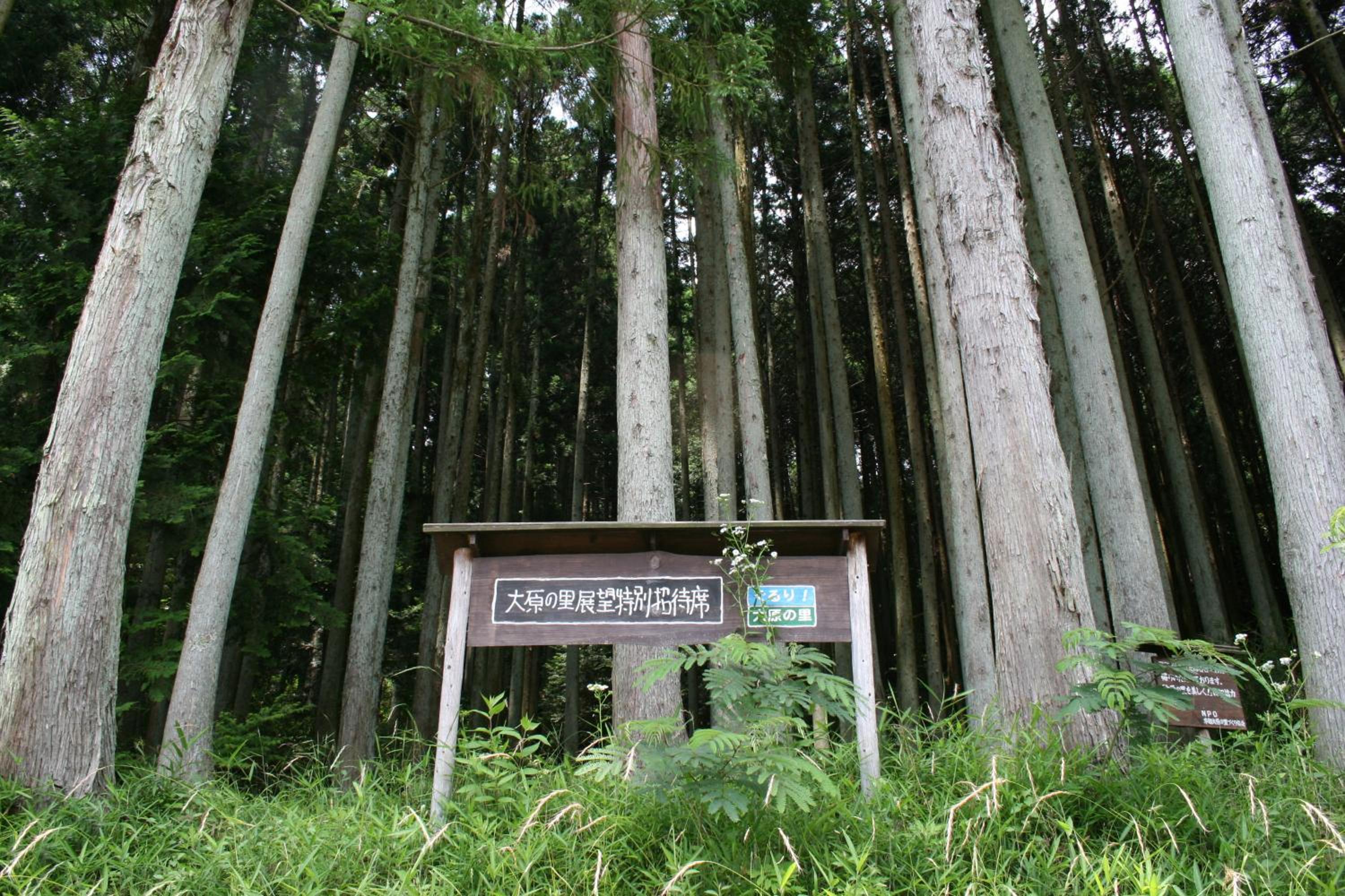 Yumoto Onsen OharaSansou