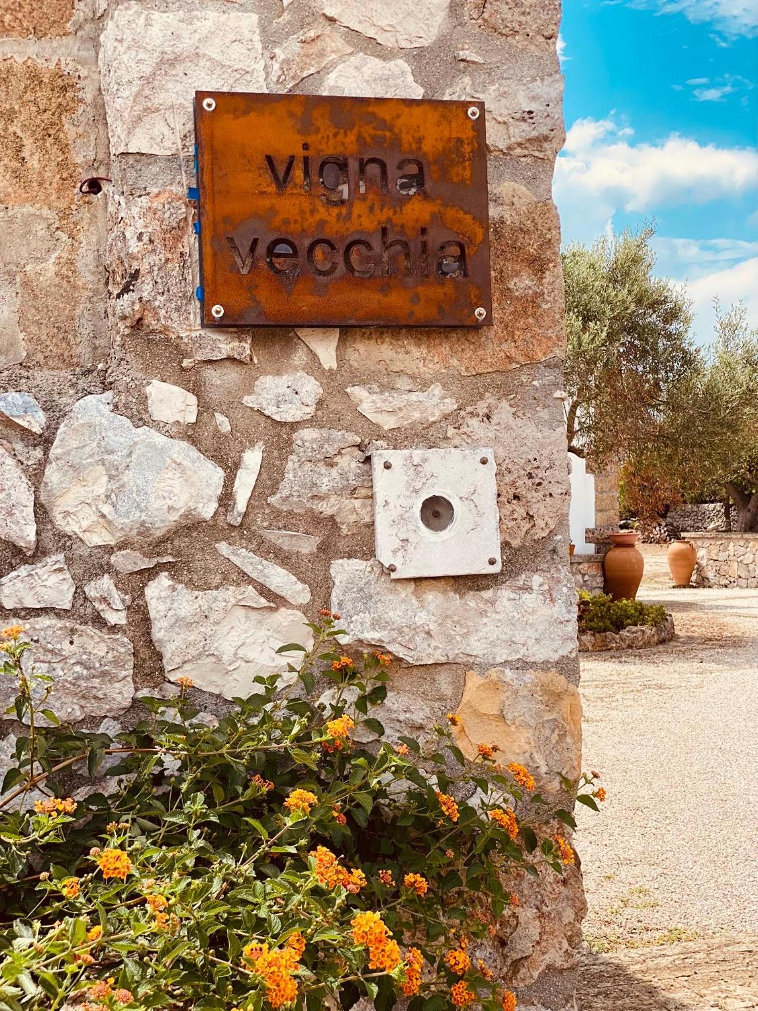 VIGNA VECCHIA