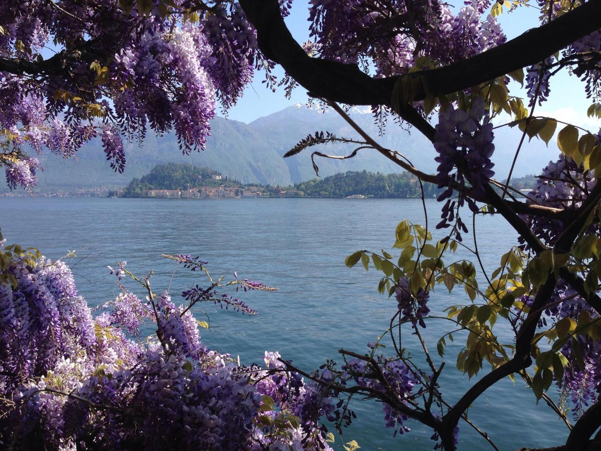 Rosa Dei Venti - Aparment in the heart of Bellagio with parking view 4