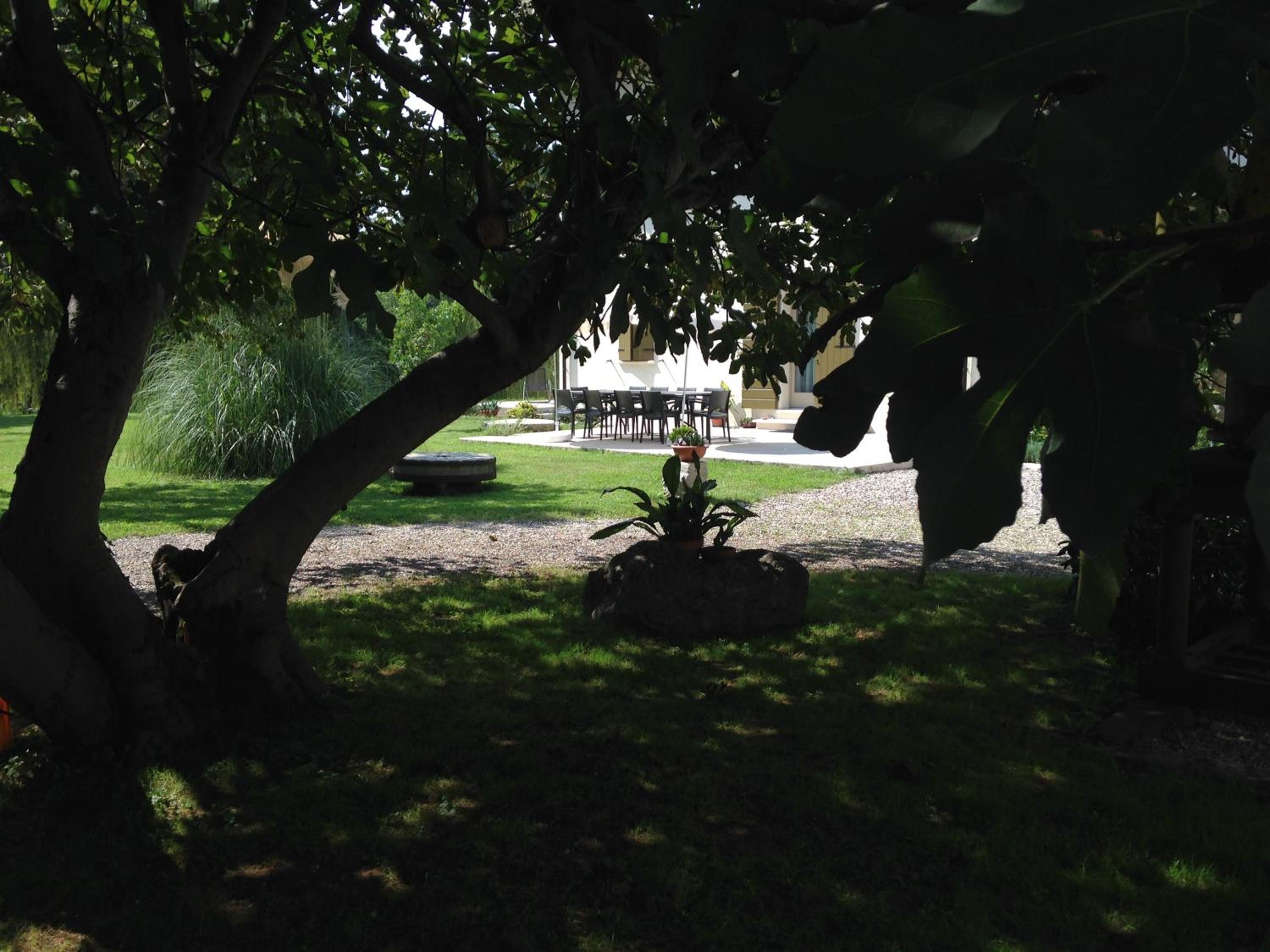 Photo 42