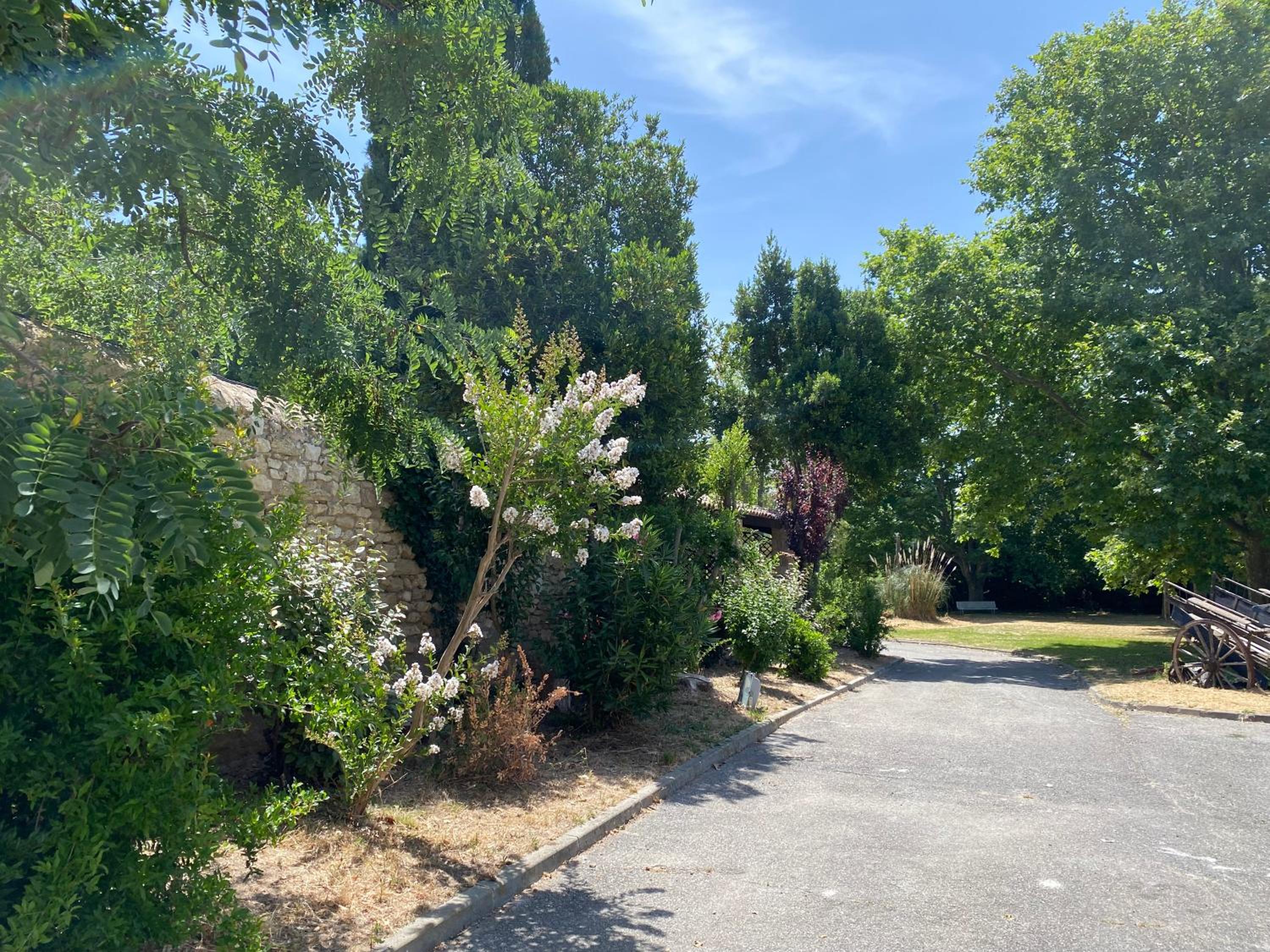 garden